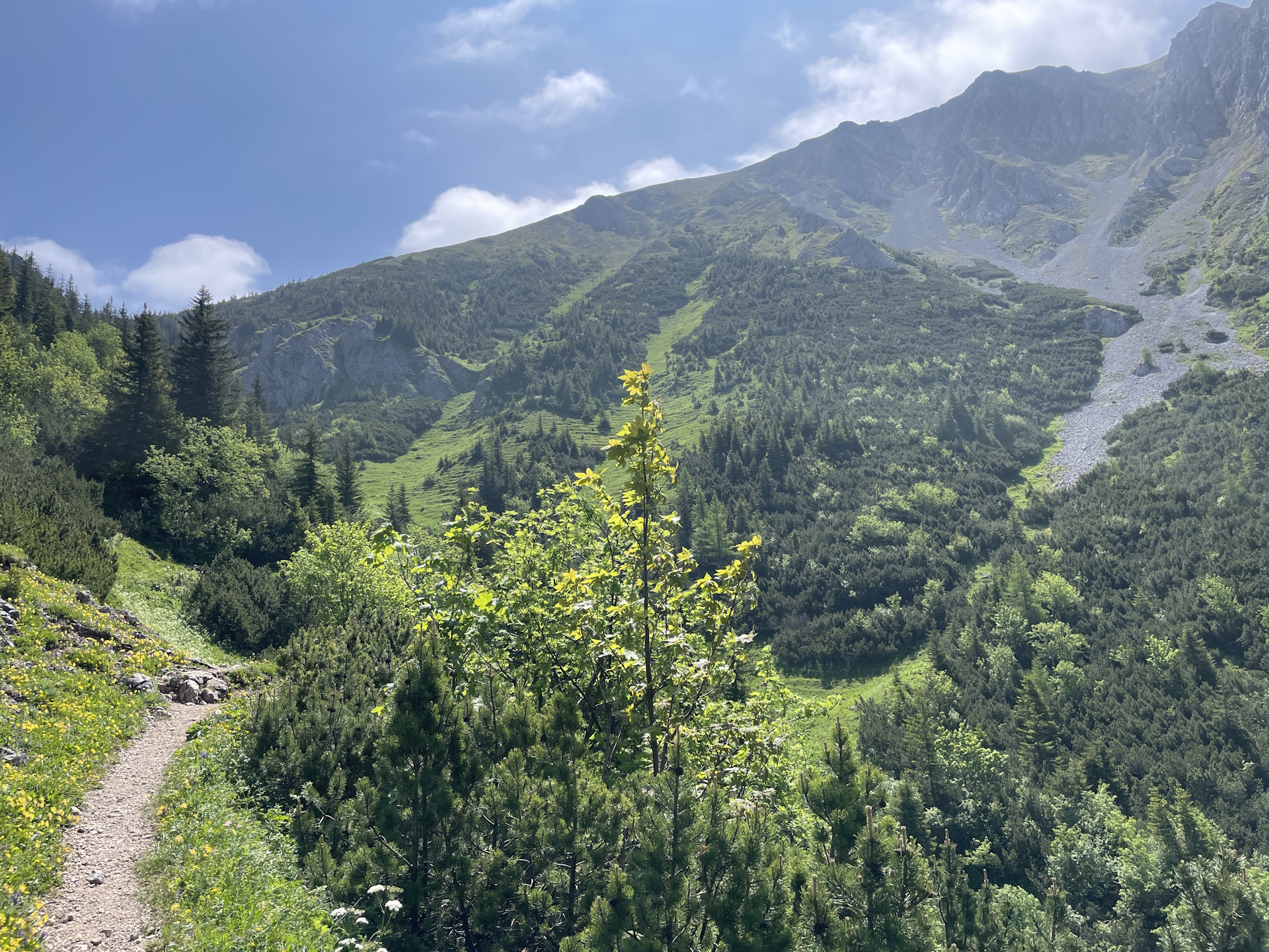 On the beautiful trail towards <i>Hohe Veitsch</i>