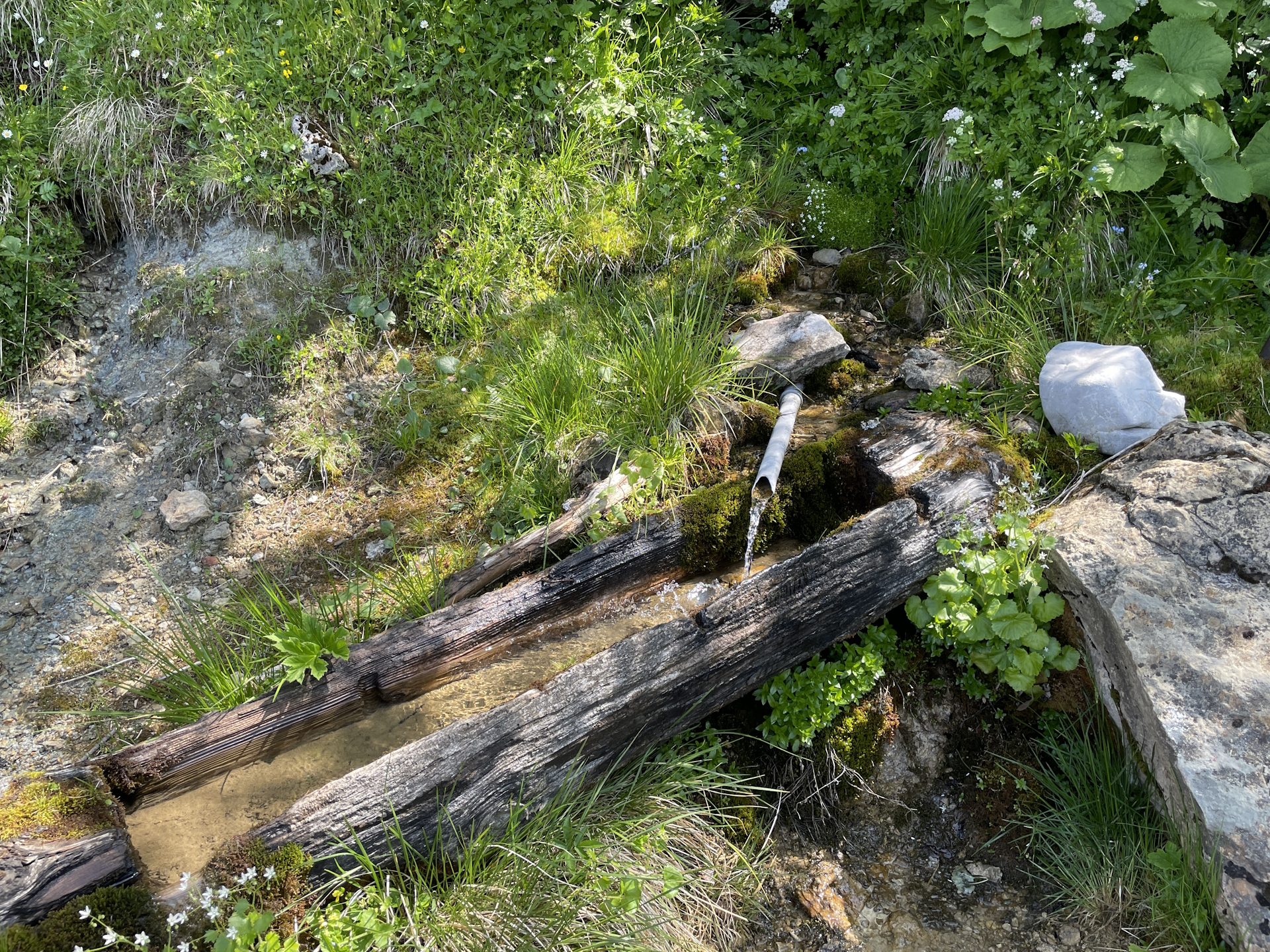 Ice cold and super refreshing water!