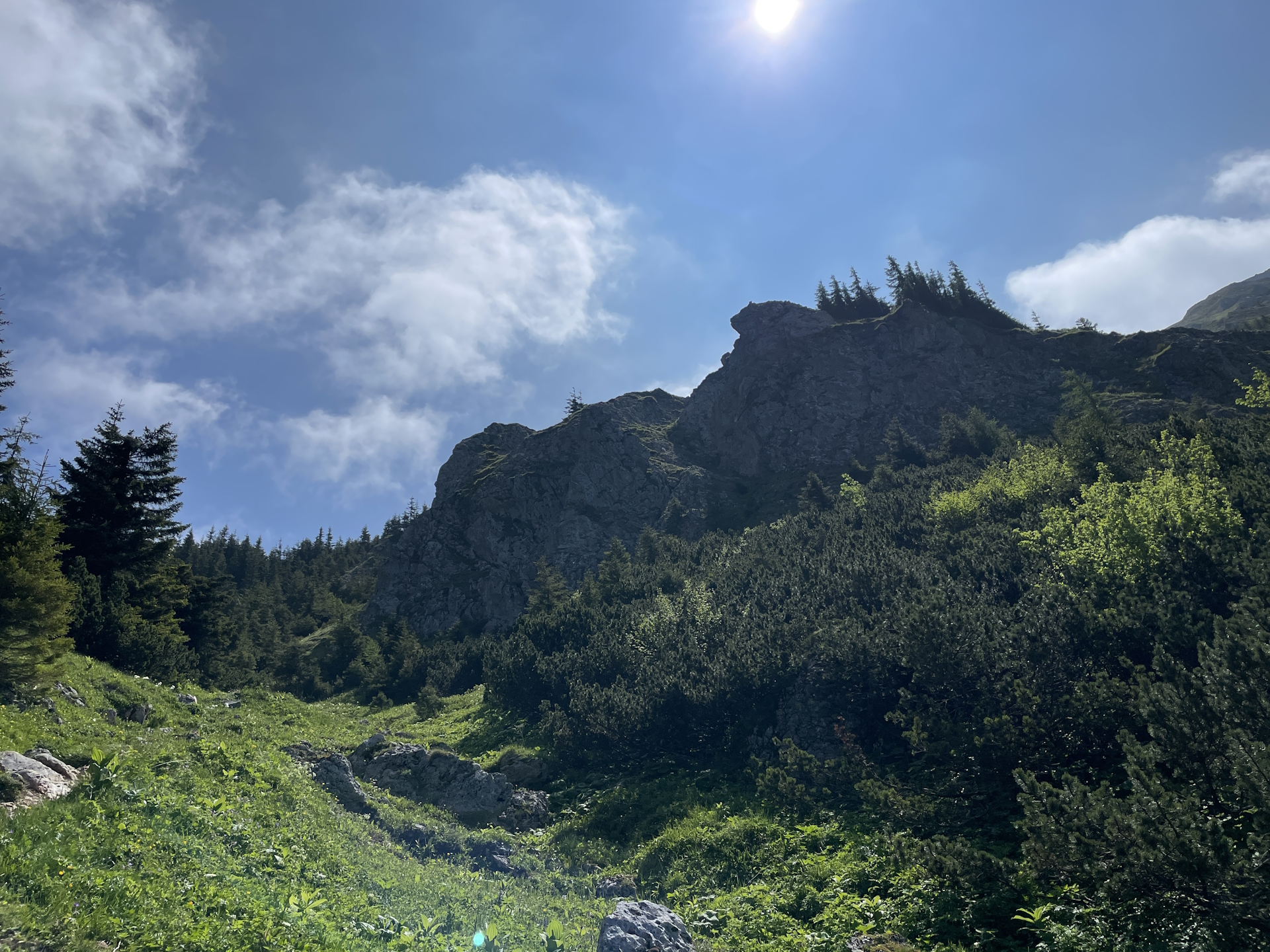 On the trail up to <i>Hohe Veitsch</i>