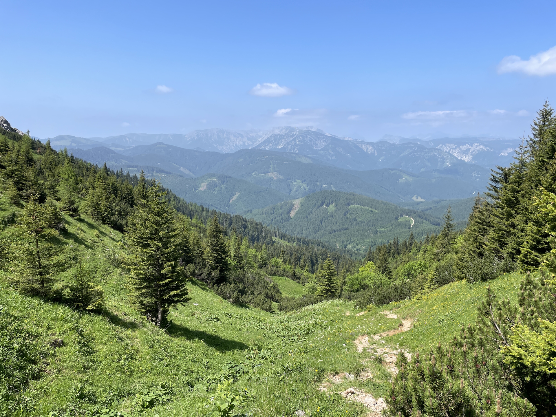 Looking back from the trail