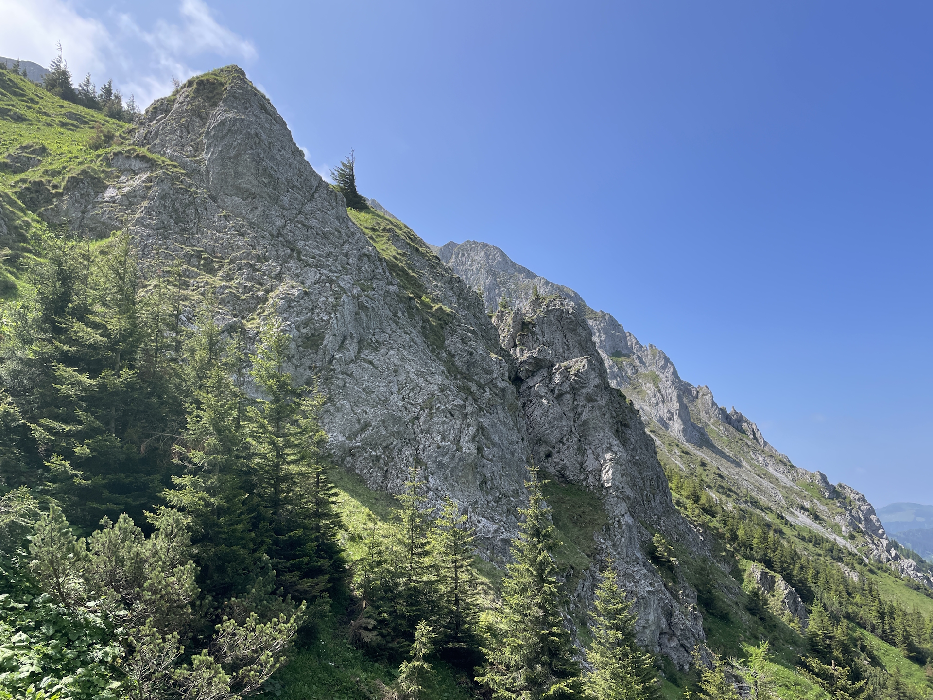 Becomes more and more alpine