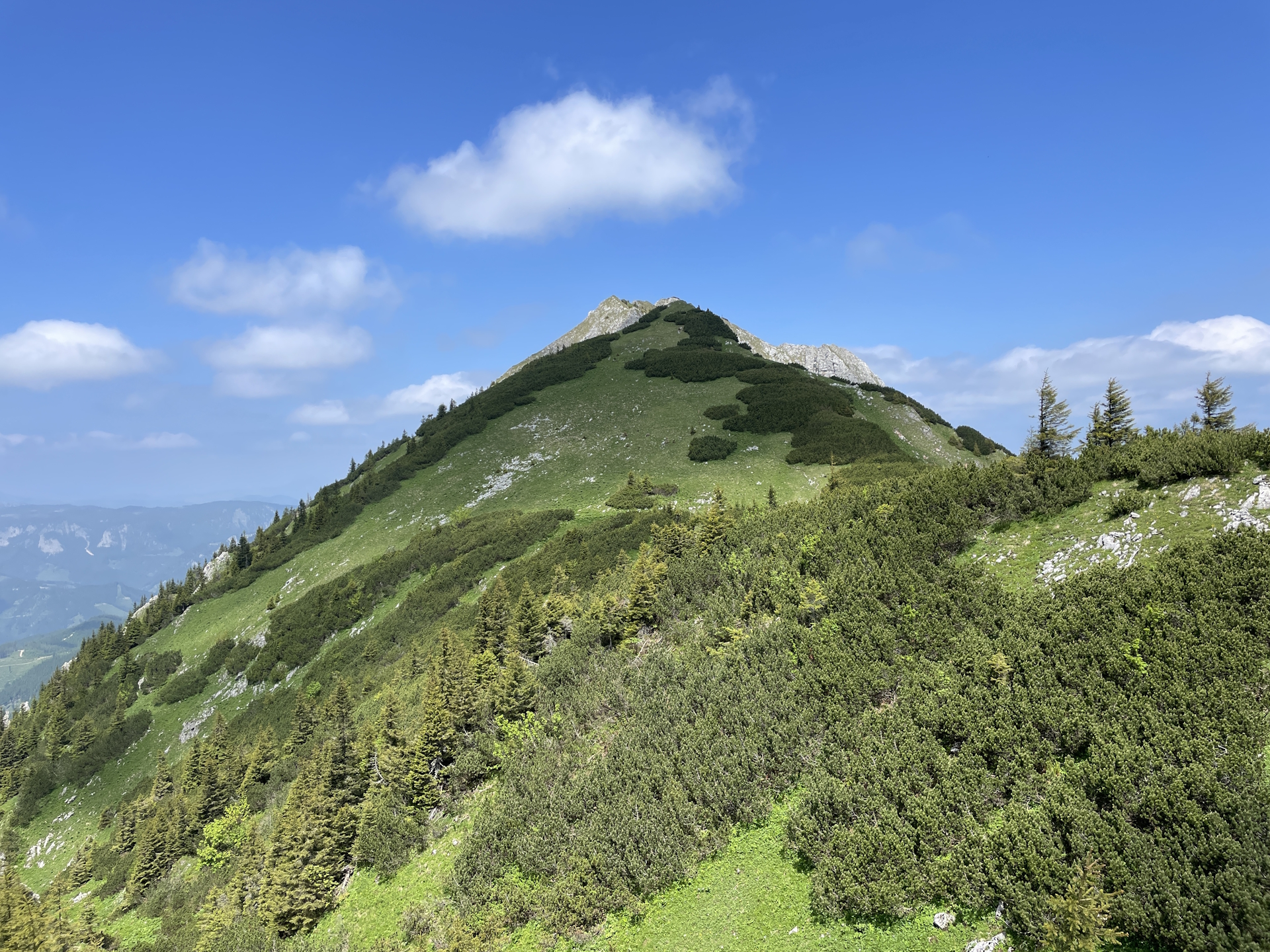View from the trail up to <i>Hohe Veitsch</i>