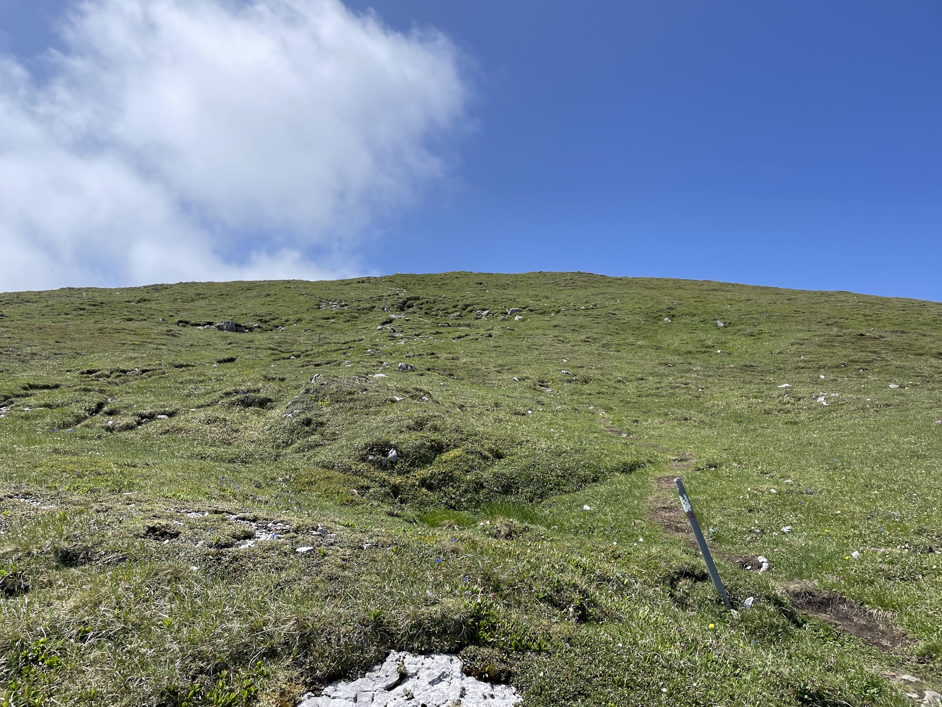 On the plateau of <i>Hohe Veitsch</i>