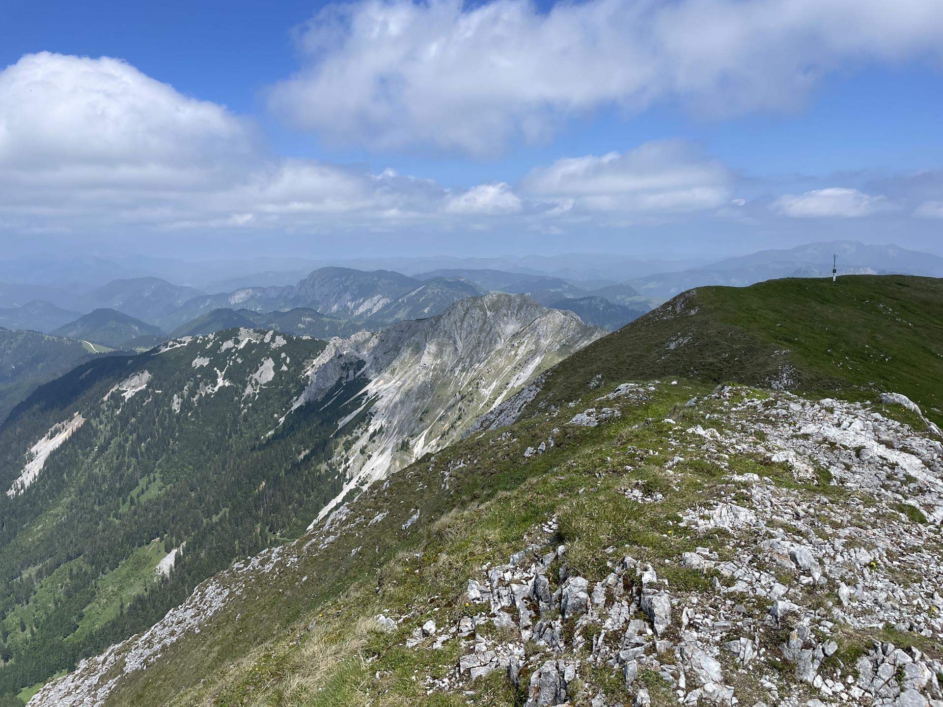 The <i>Wildkamm</i> seen from the <i>Hohe Veitsch</i> summit