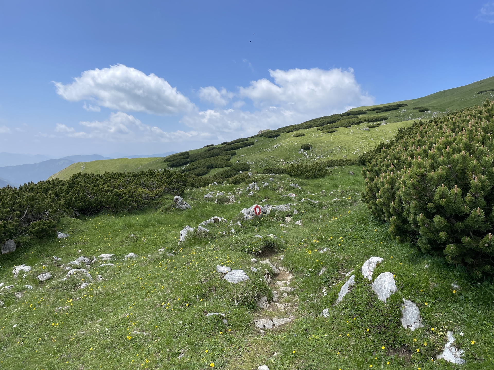 On the <i>Teufelsteig</i> trail towards <i>Rotsohlalm</i>