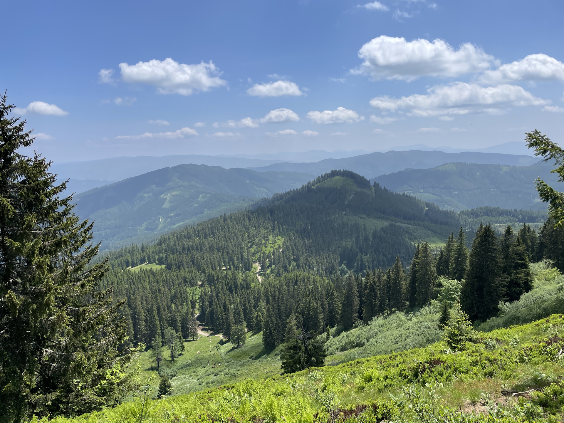 Towards <i>Rotsohlalm</i>