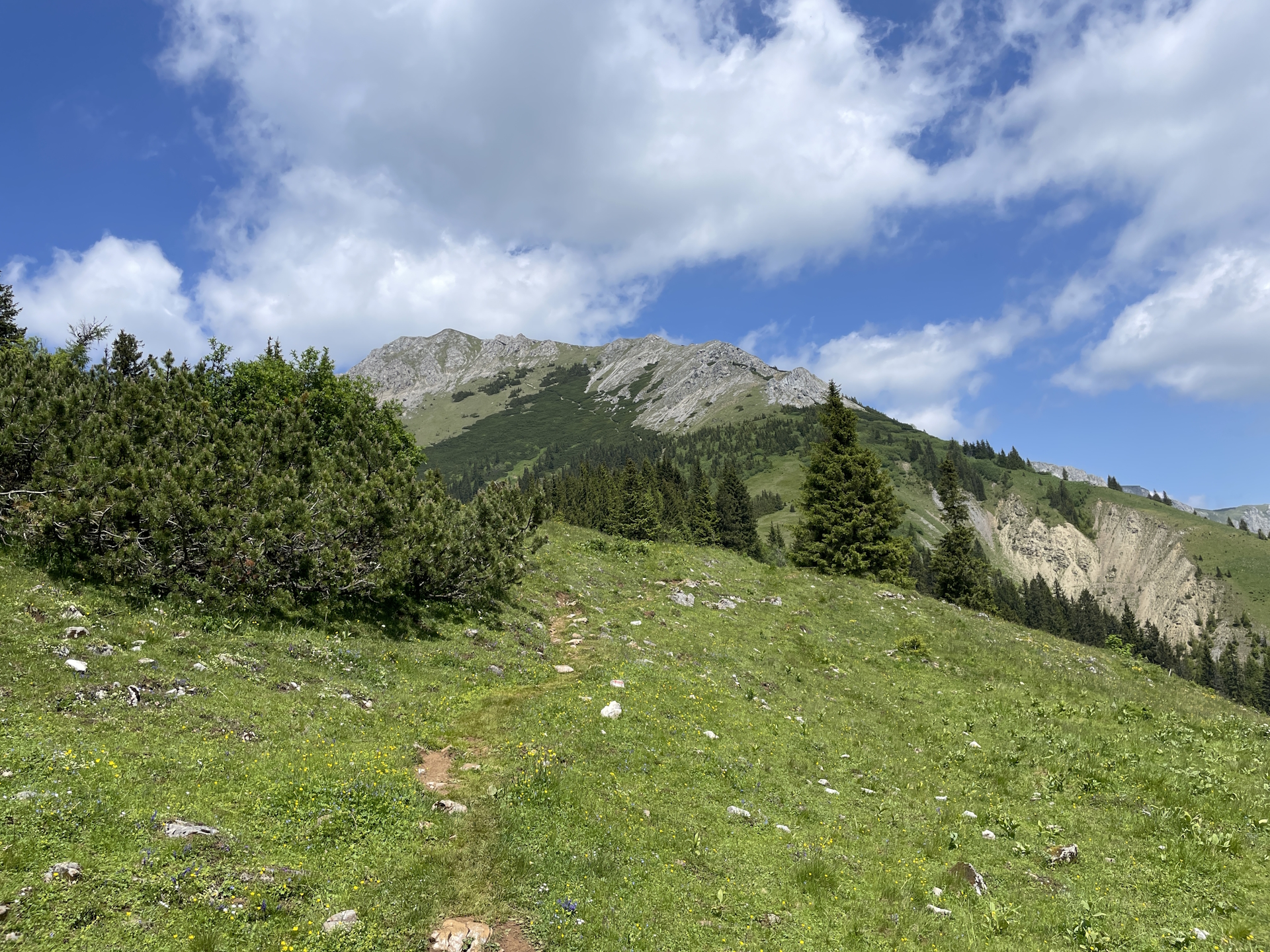 Look back up to <i>Hohe Veitsch</i> after mastering the <i>Teufelssteig</i>