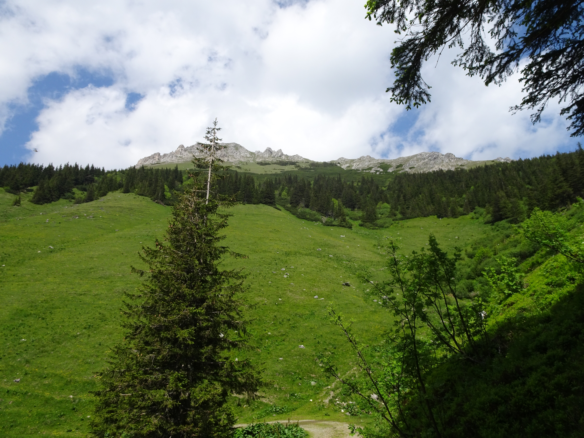 On trail <i>06A</i> viewing towards <i>Hohe Veitsch</i>