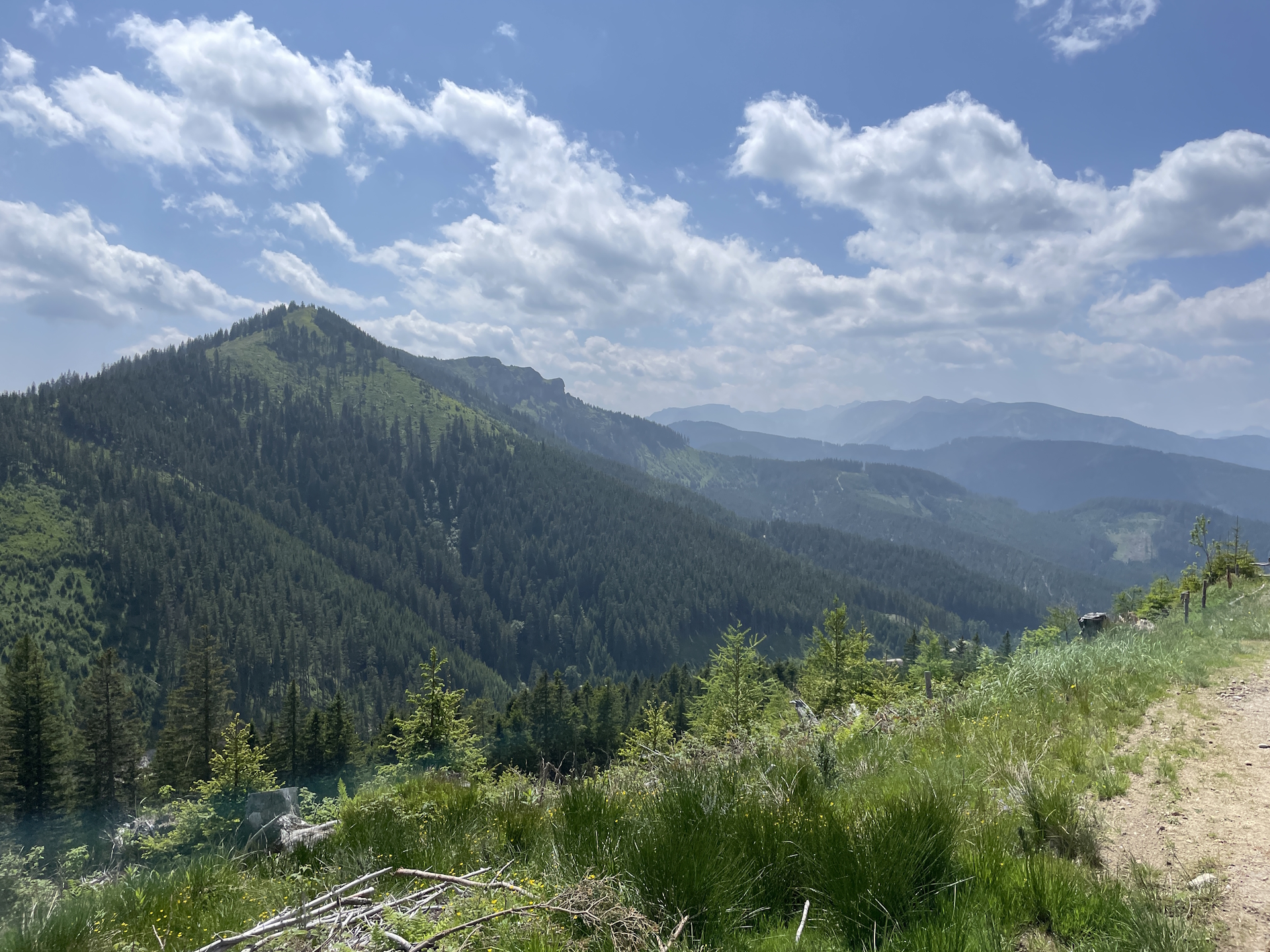 View from the trail <i>06A</i> towards <i>Niederalpl</i>