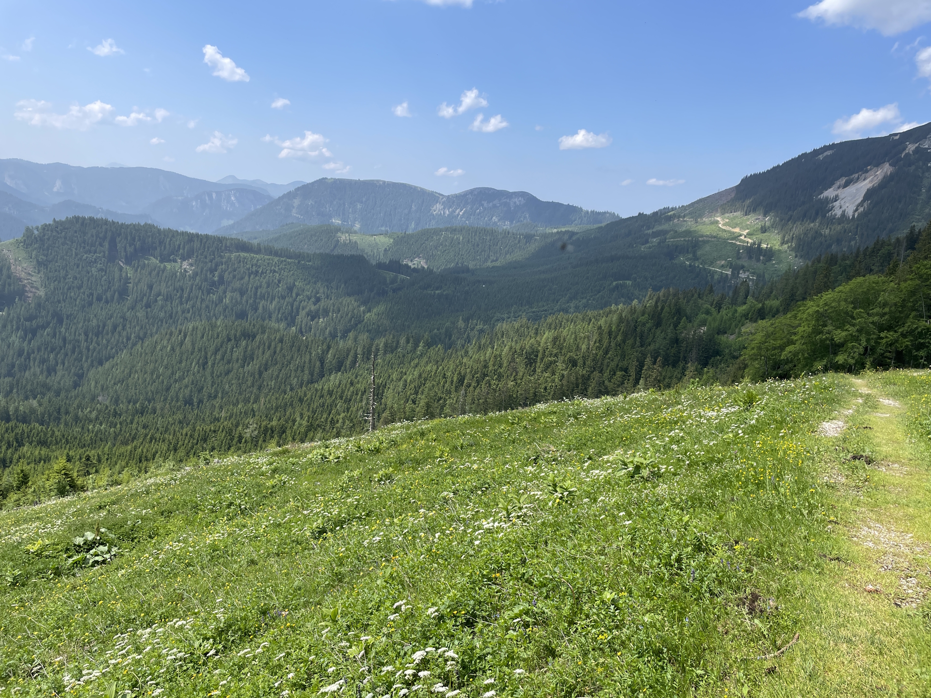 On the scenic trail <i>06A</i> back to <i>Niederalpl</i>
