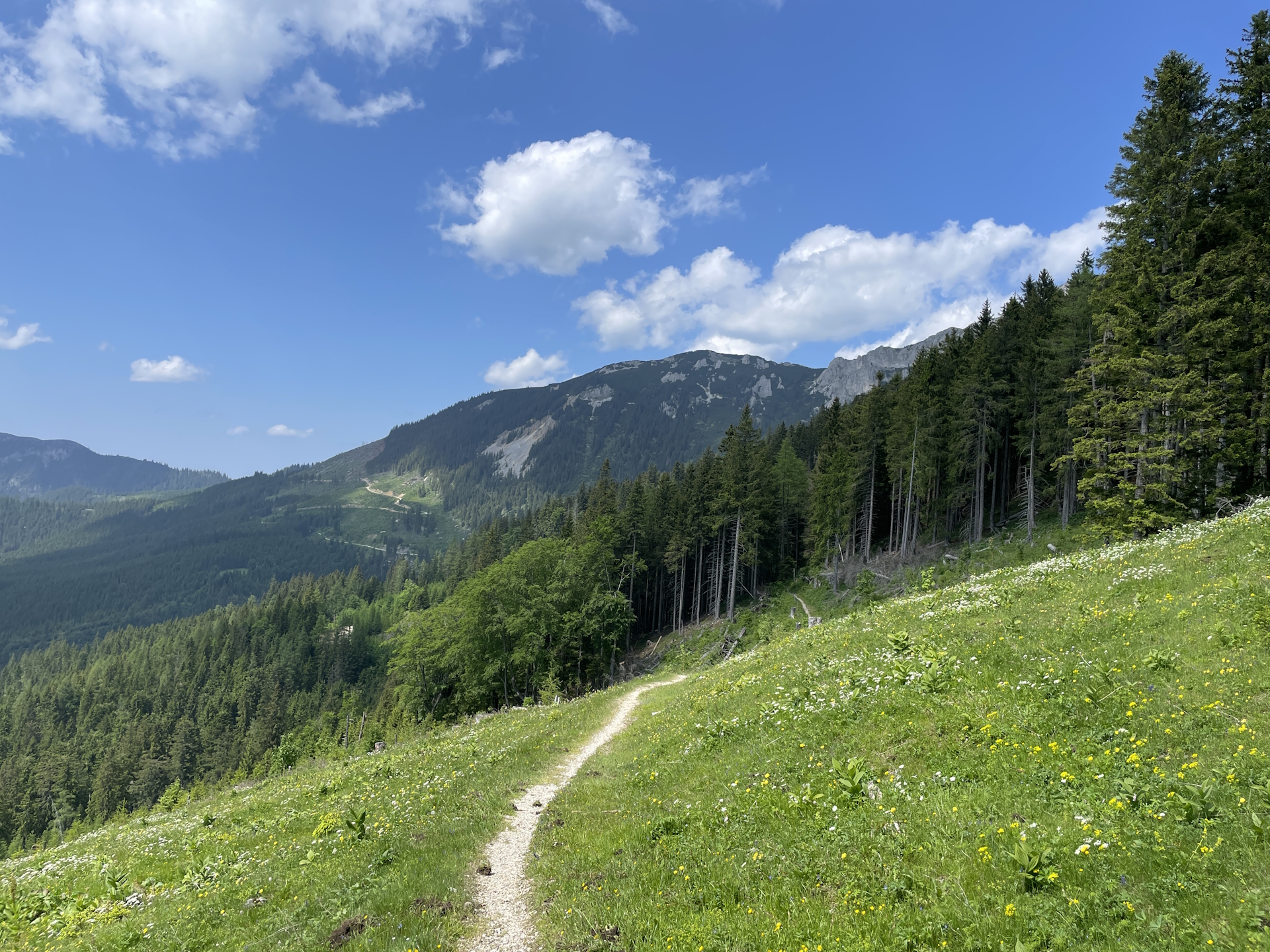 On the scenic trail <i>06A</i> back to <i>Niederalpl</i>