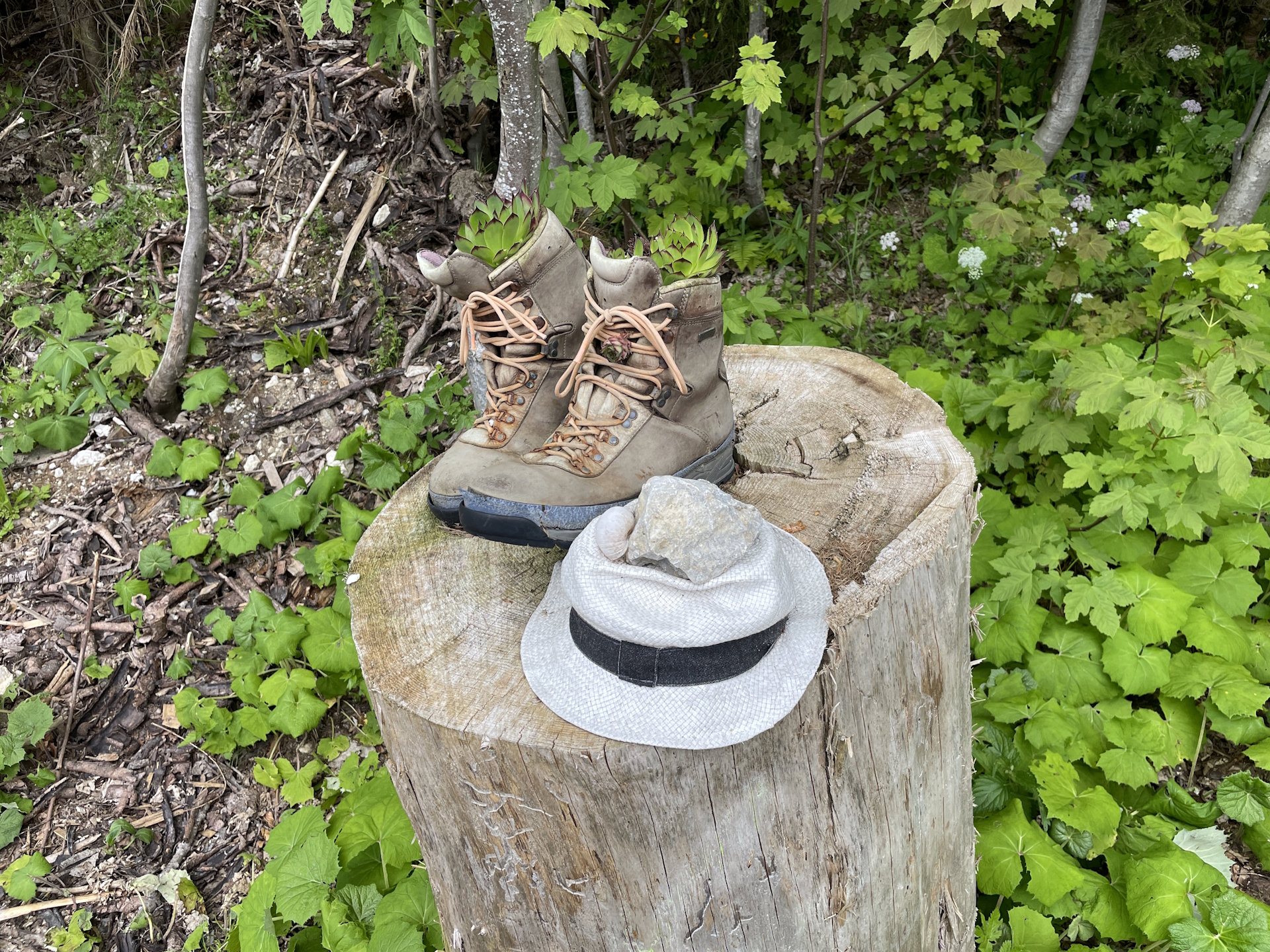 This is indeed a hiking tail