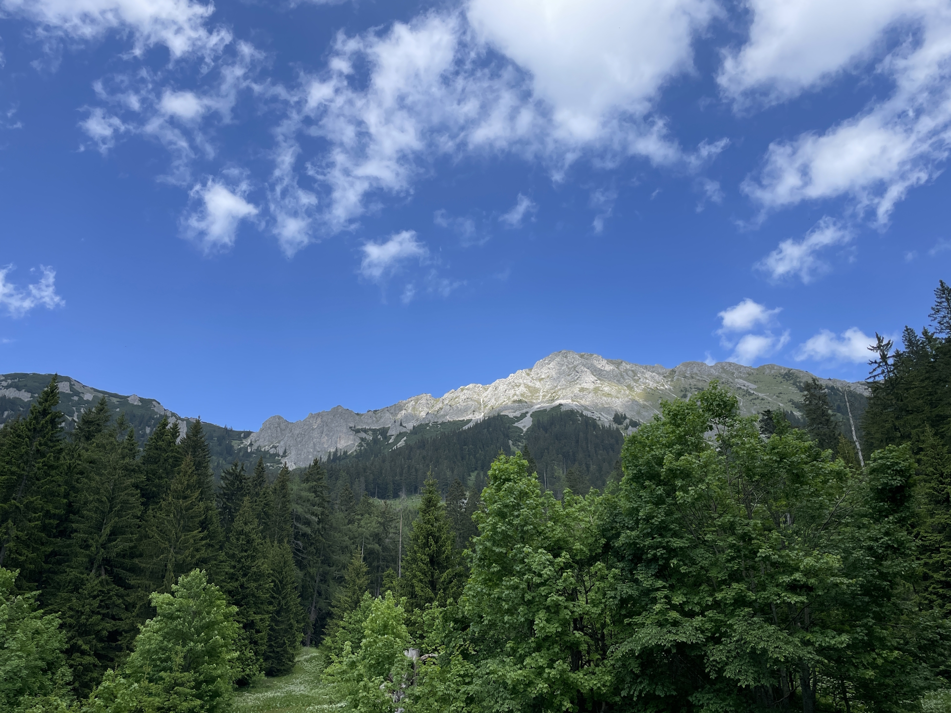 View up to <i>Wildkamm</i> from tail <i>06A</i>