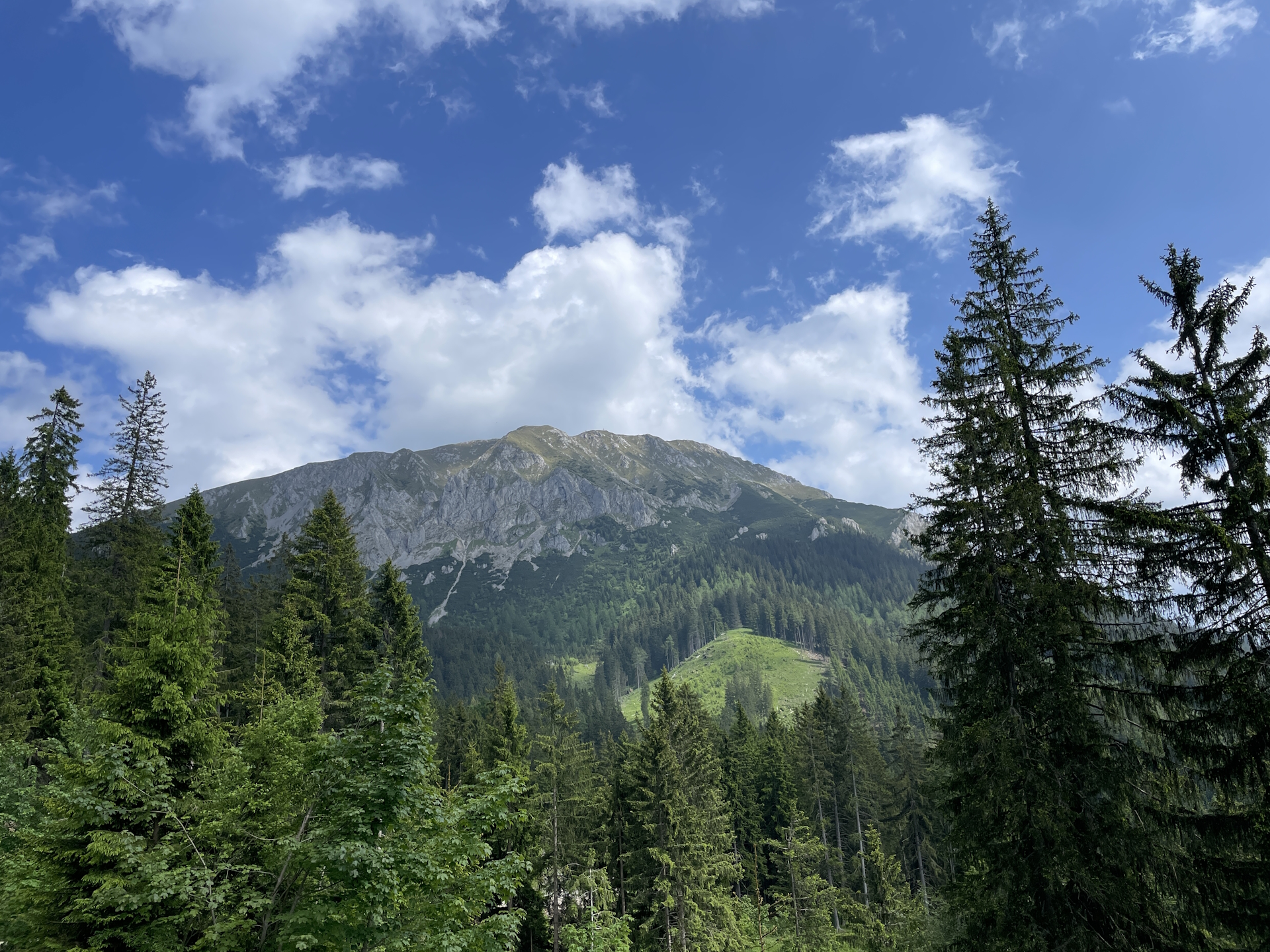 View back to <i>Hohe Veitsch</i> from trail <i>06A</i>