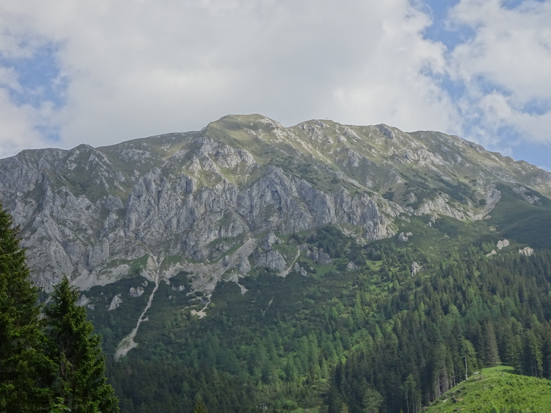 View up to <i>Wildkamm</i> from the trail <i>06A</i>