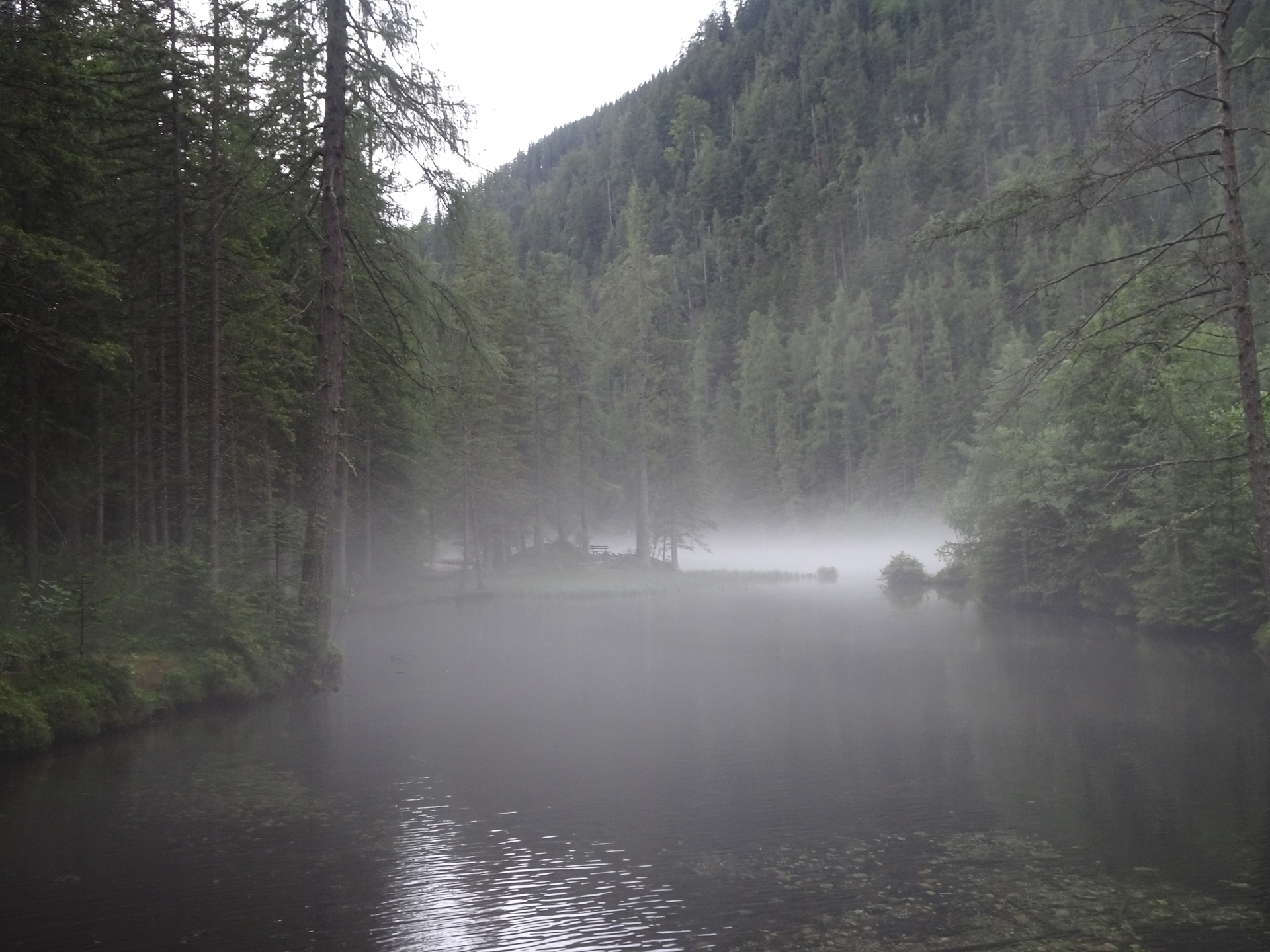 Mystical haze at the <i>Kreuzteich</i>