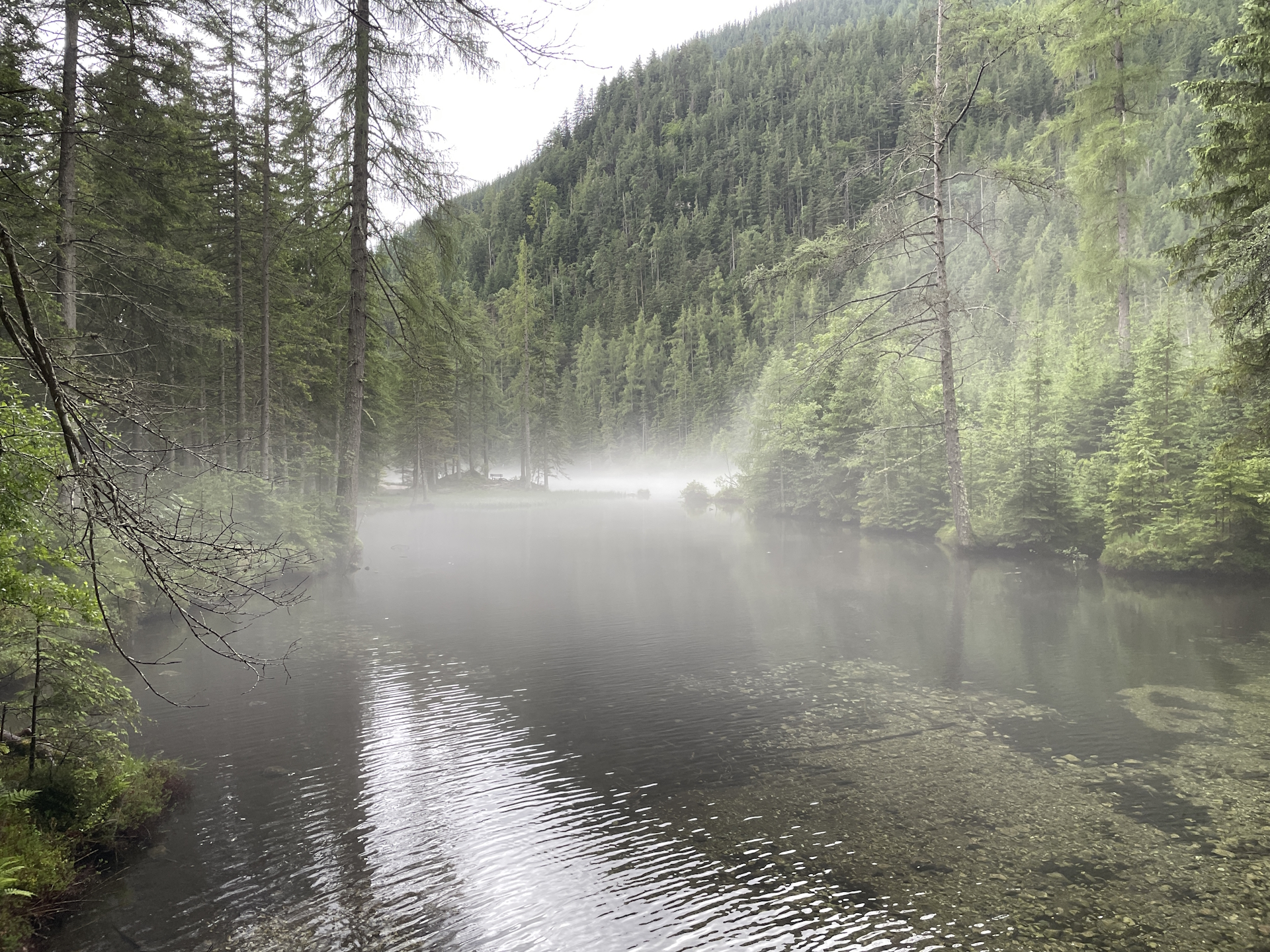 The <i>Kreuzteich</i> covered in mystical haze