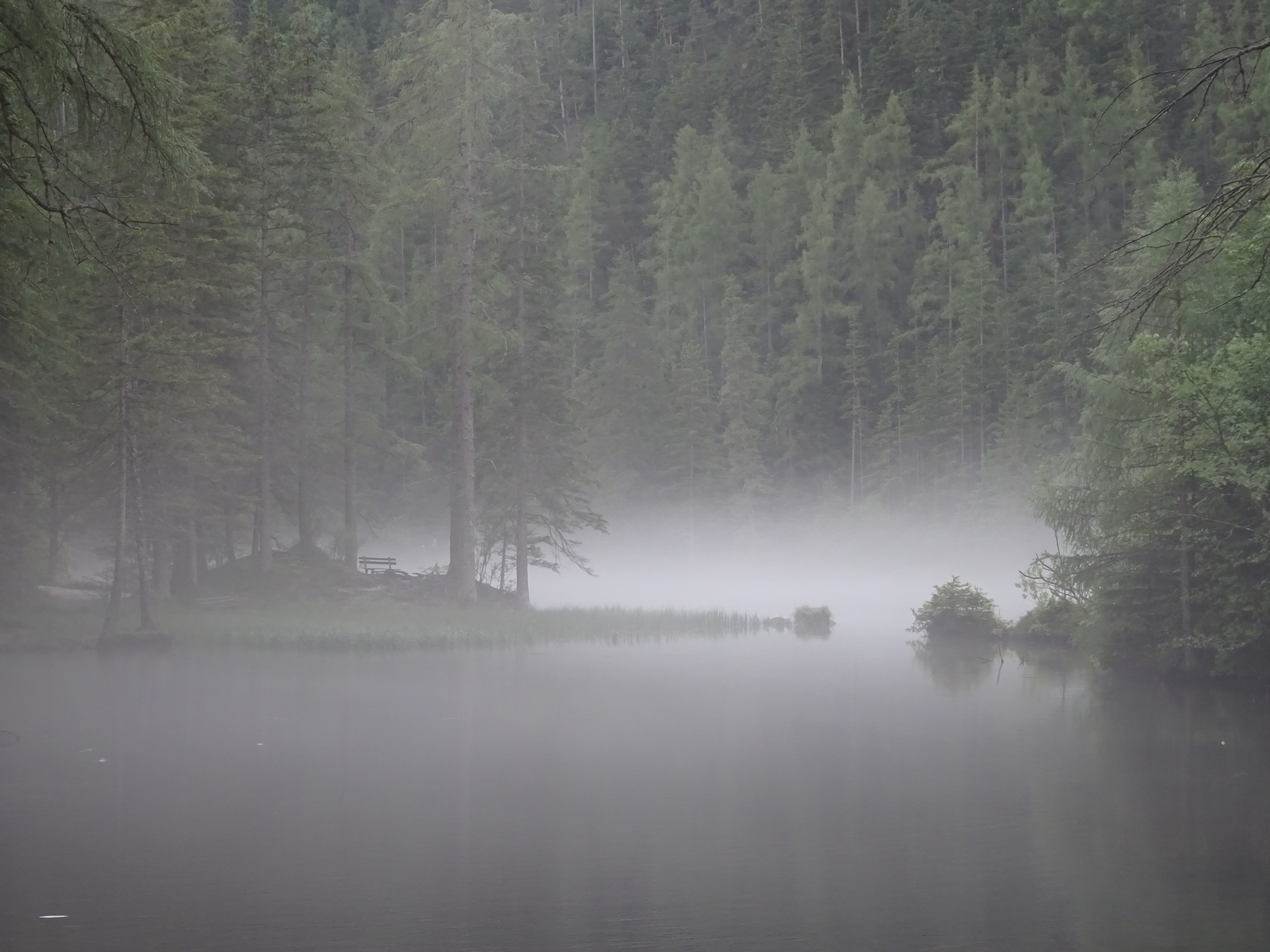 Mystical haze at the <i>Kreuzteich</i>