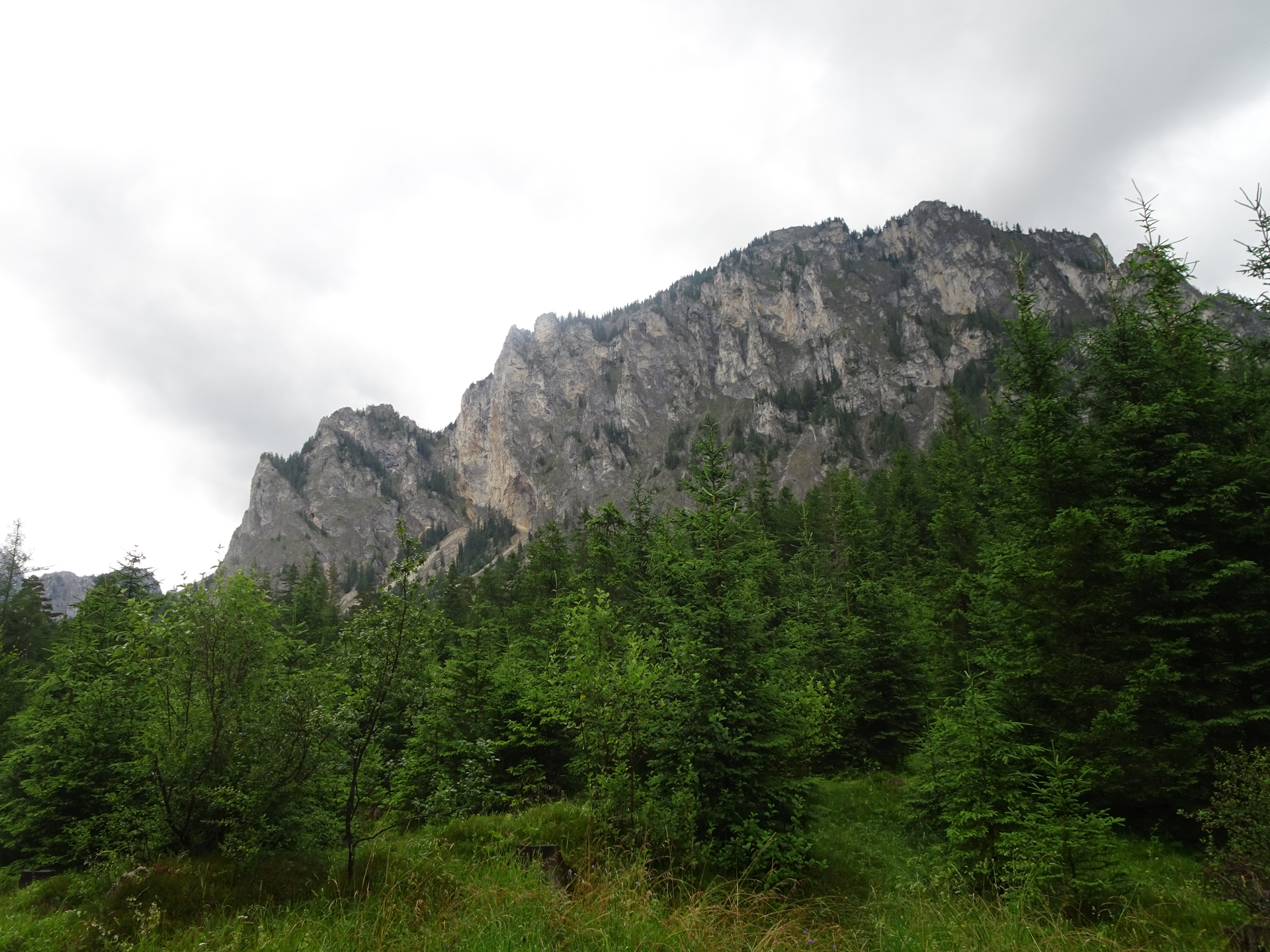 The <i>Pribitz</i> seen from the trail towards <i>Grüner See</i>