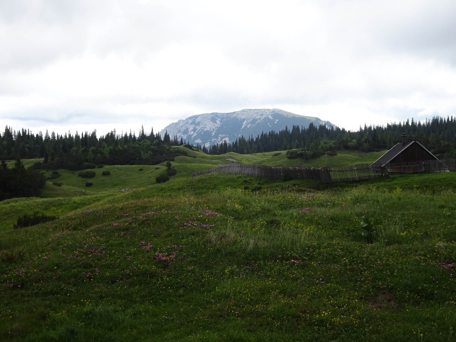 Amazing view from <i>Sonnschienalm</i>