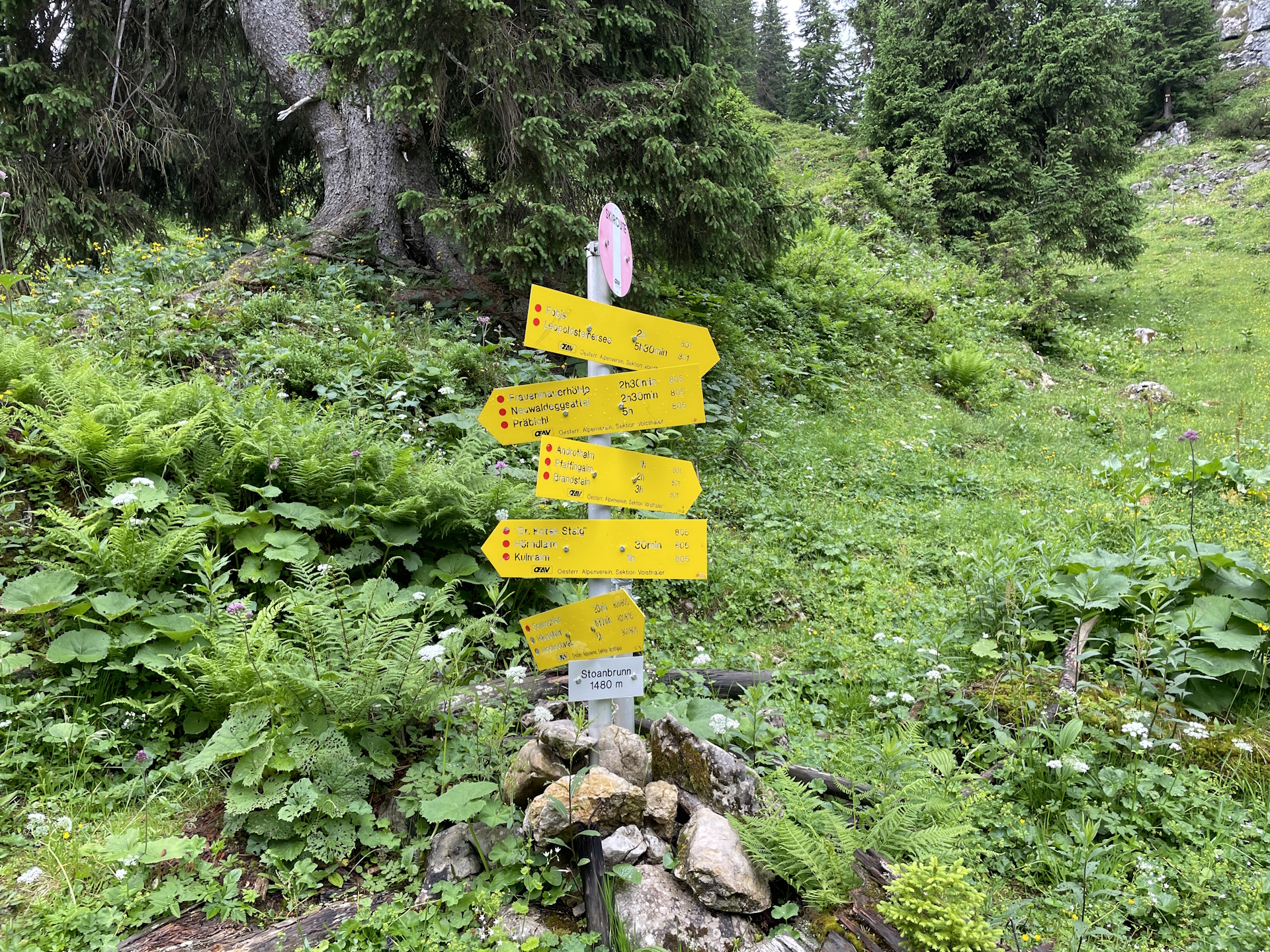 Leaving the shared trail at <i>Stoanbrunn</i> (turn left here!)