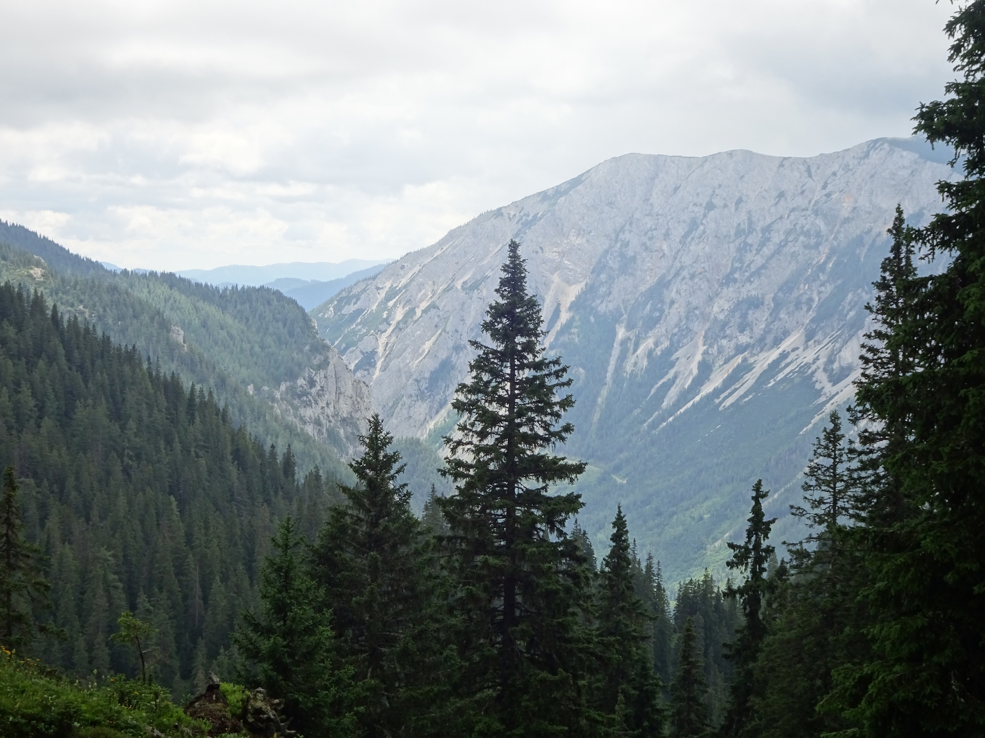 View from the trail towards <i>Hörndlalm</i>