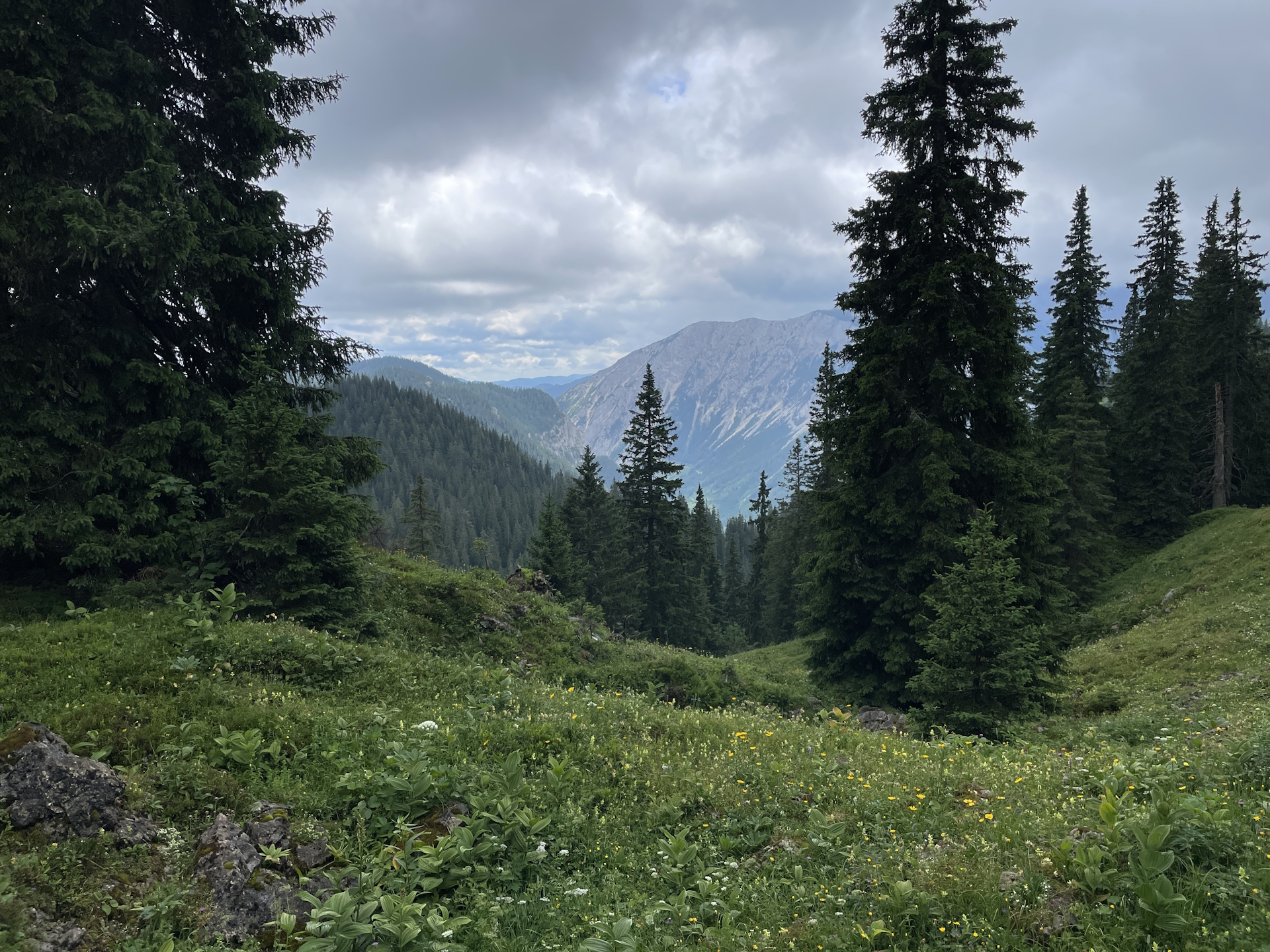 On the trail towards <i>Hörndlalm</i>