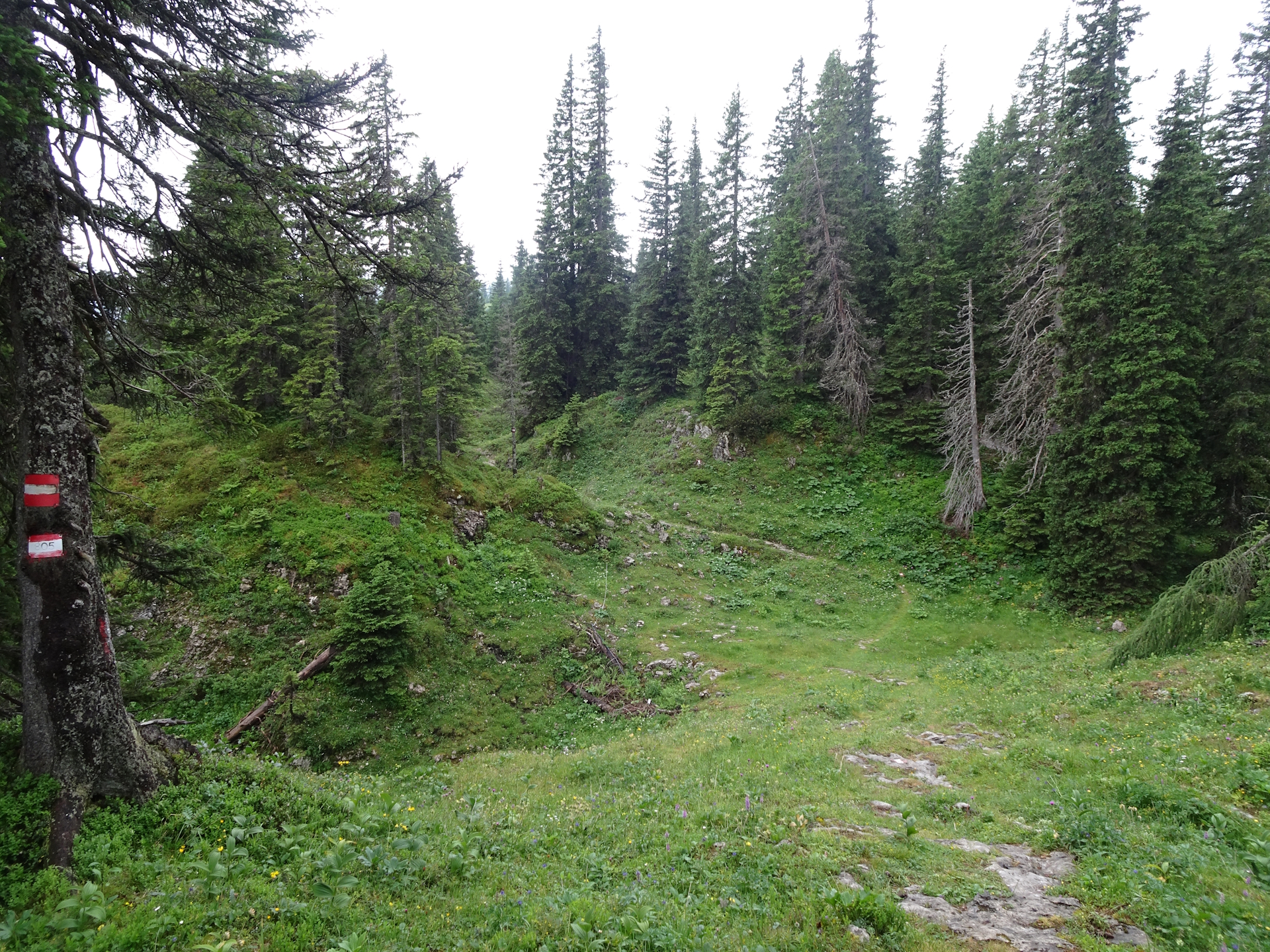 On the trail towards <i>Hörndlalm</i>