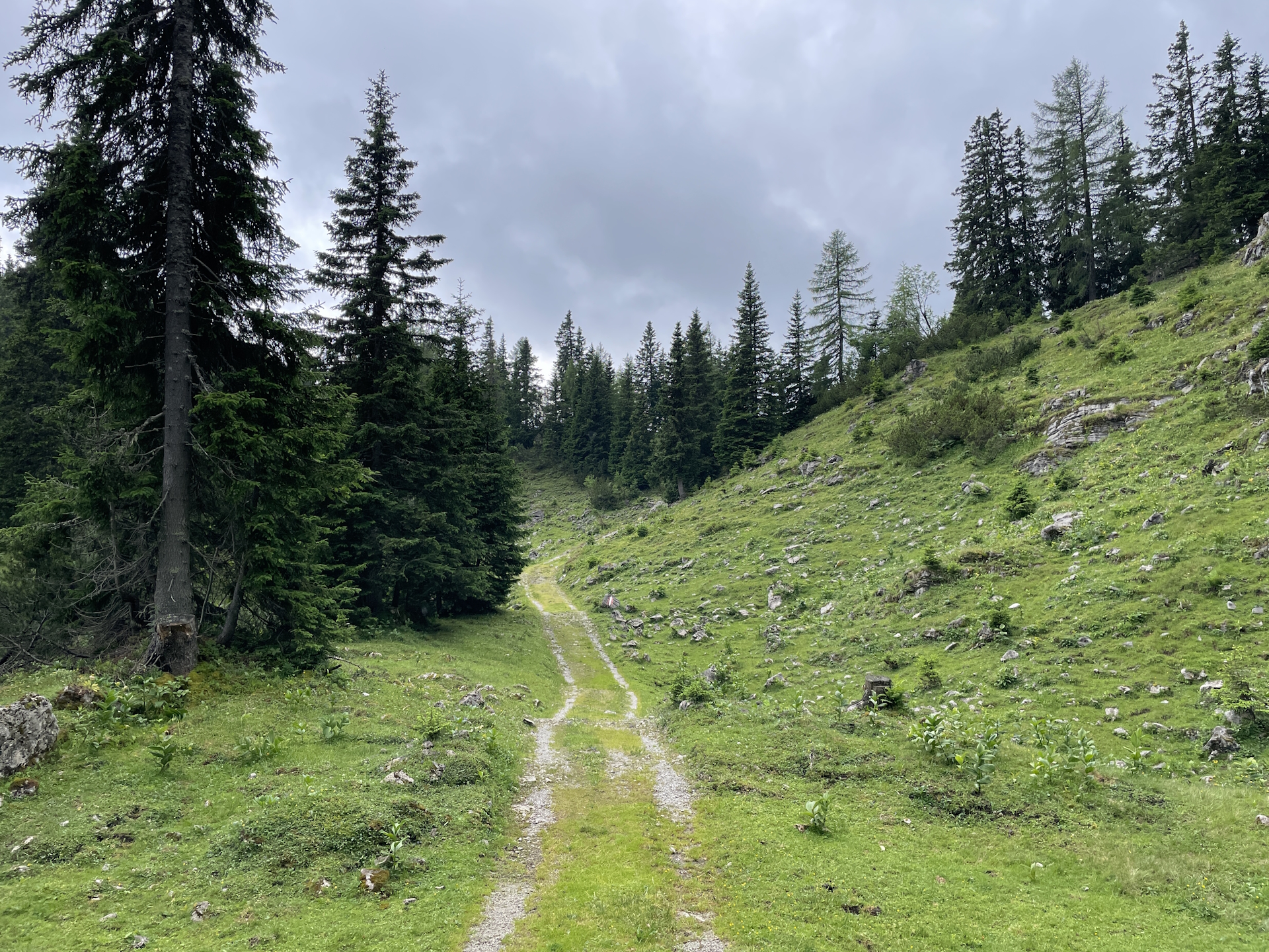 Trail towards <i>Hörndlalm</i>