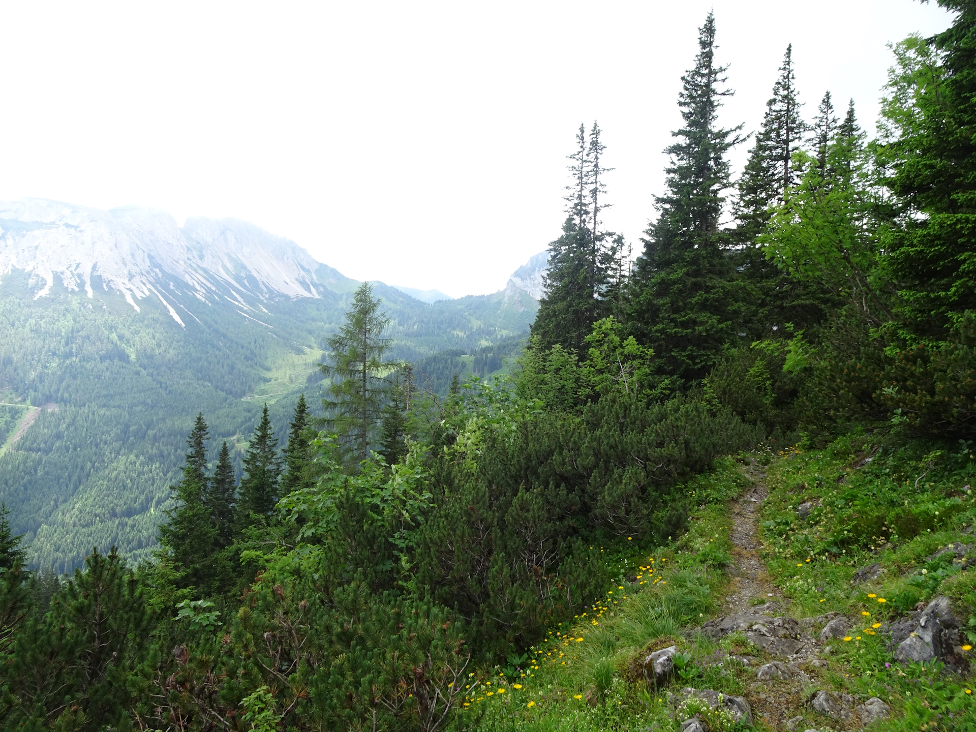 On the trail towards <i>Kulmalm</i>