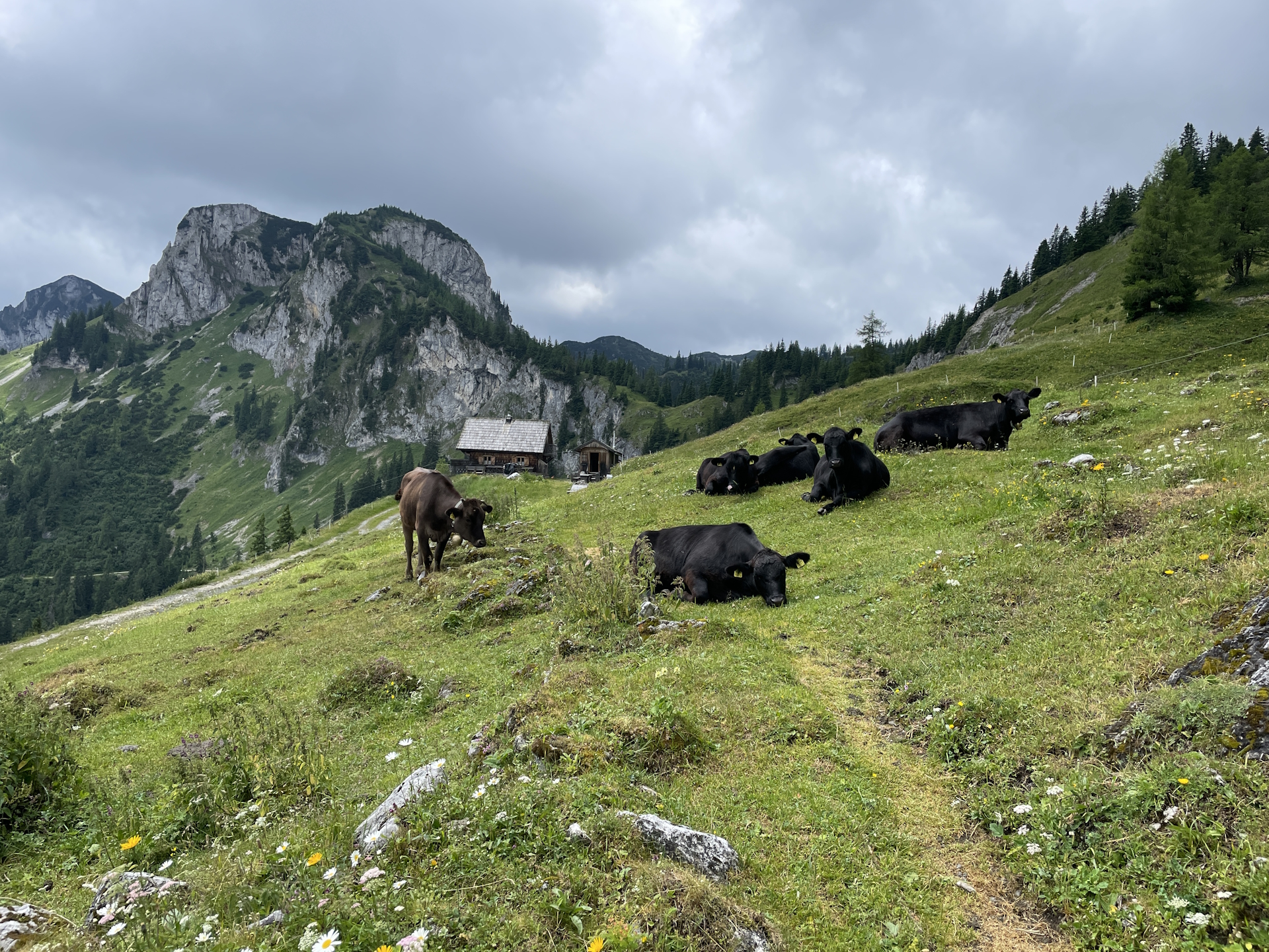 Approaching the <i>Kulmalm</i>