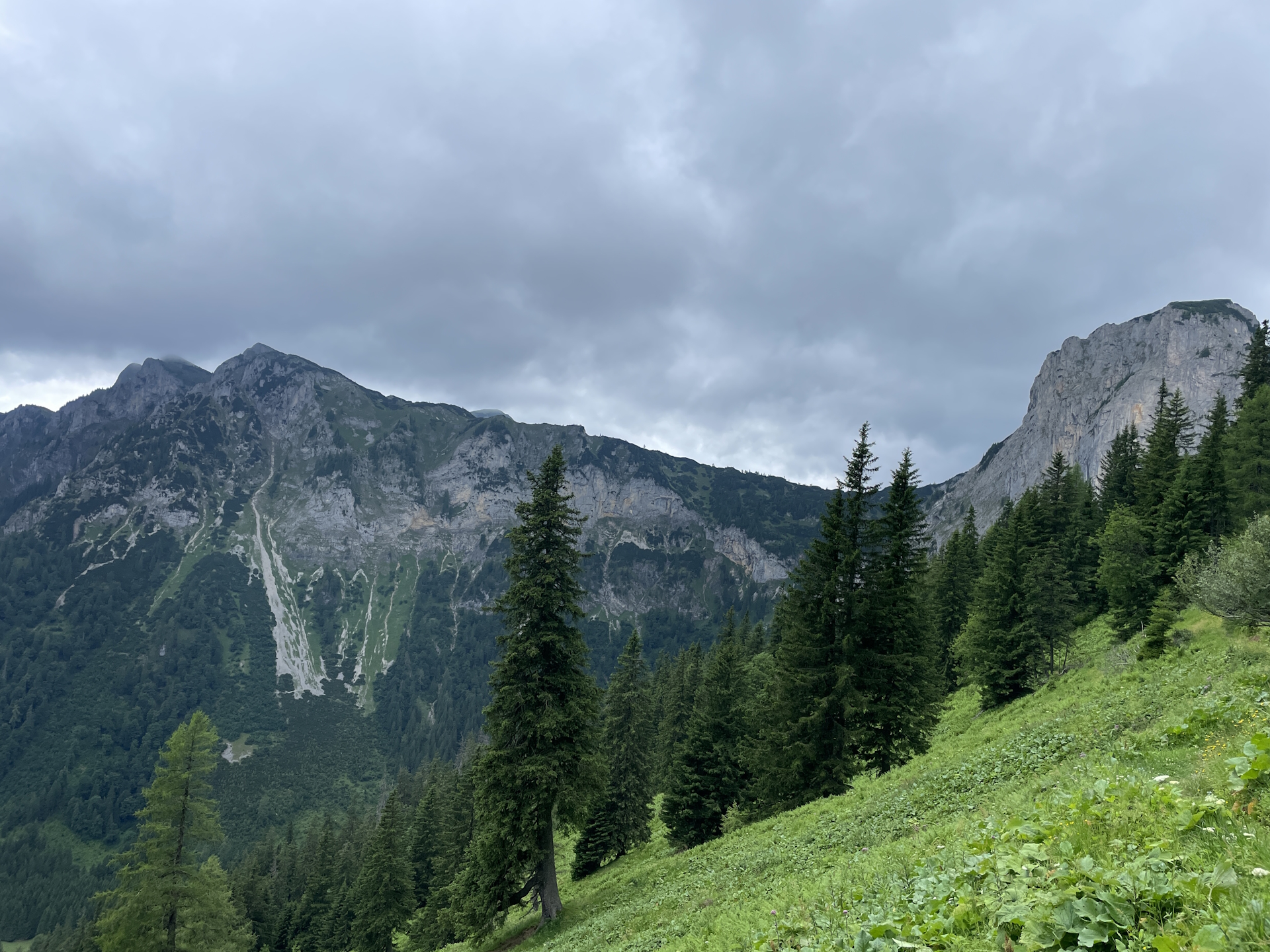View back from the trail towards <i>Hirscheggsattel</i>