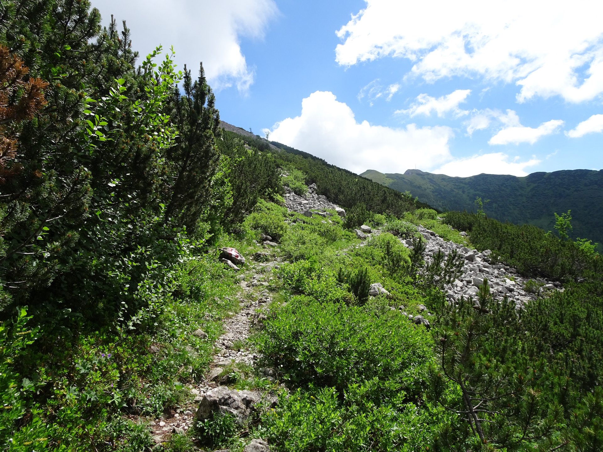 On one of the easier parts of the trail towards <i>Hirscheggsattel</i>