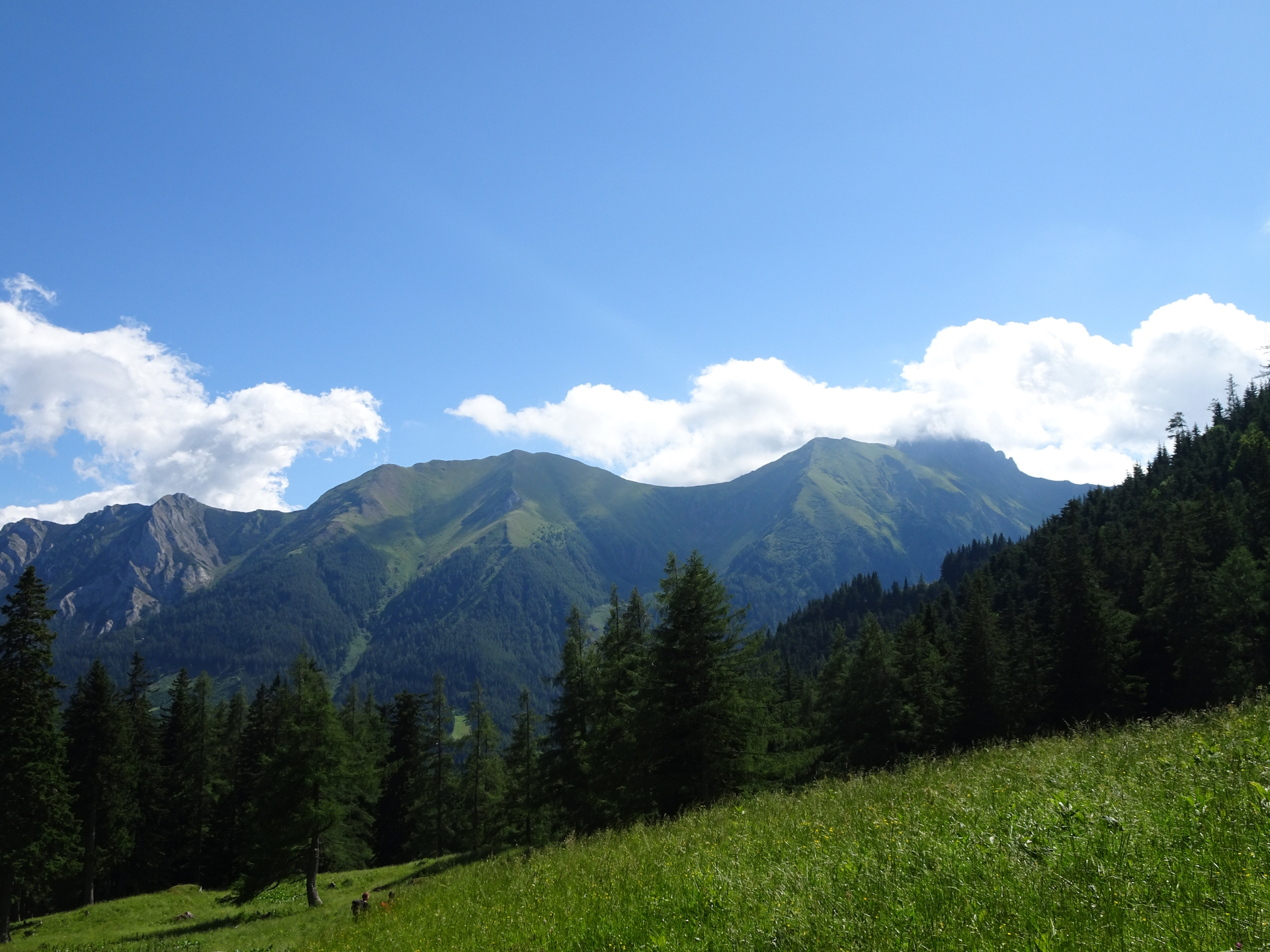 Amazing green mountains!