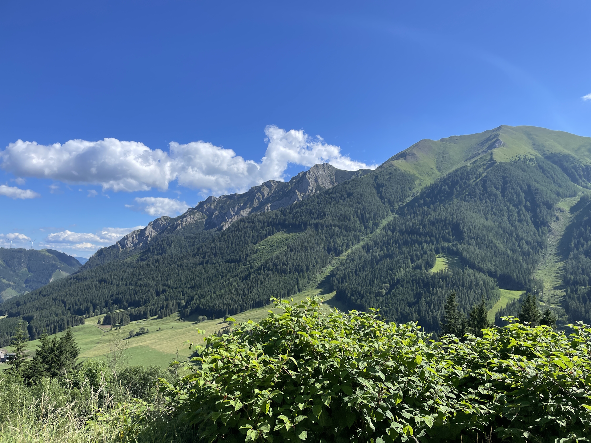 Amazing green scenery on the trail to <i>Präbichl</i>