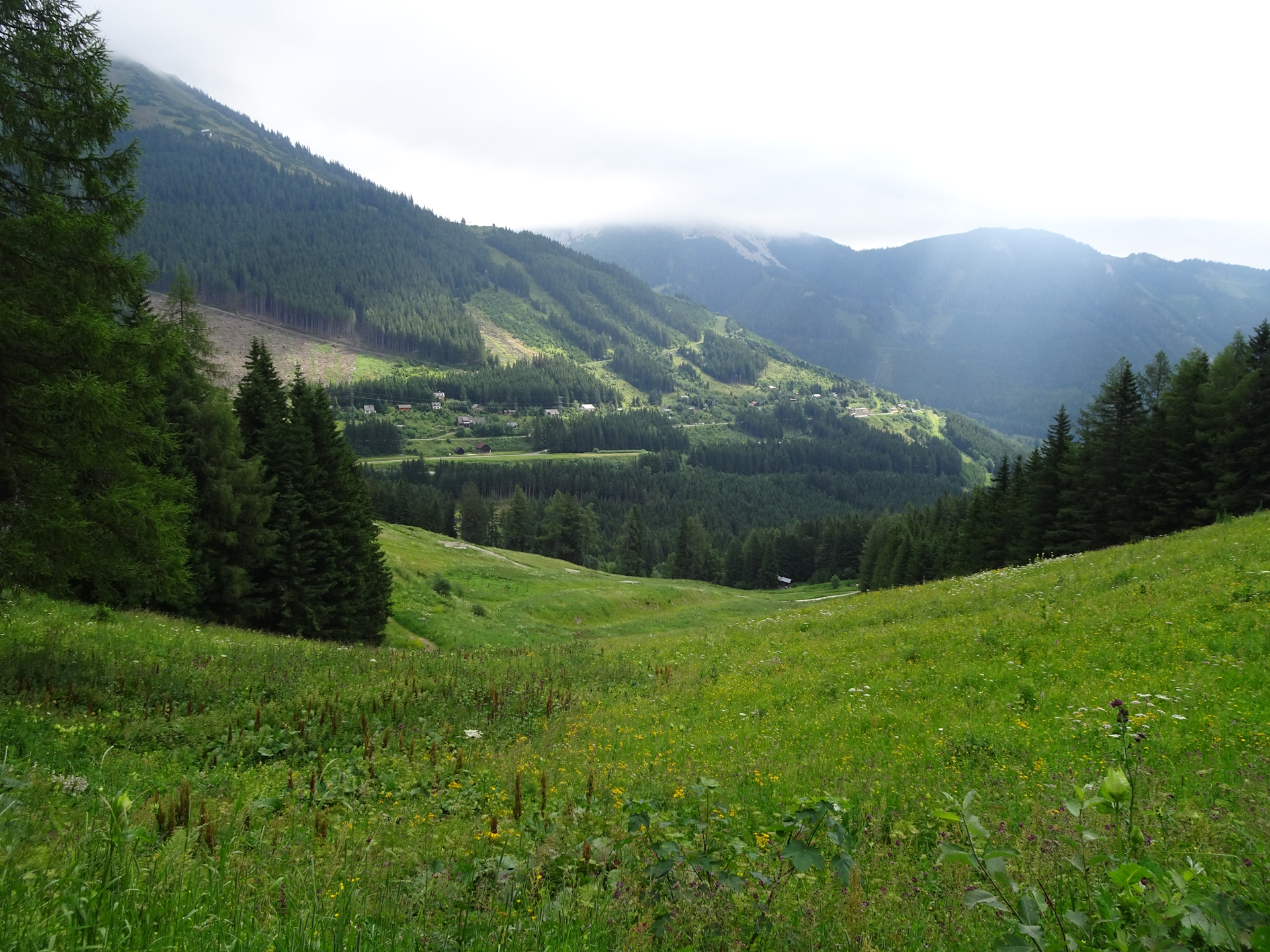 On the trail towards <i>Reichenstein</i>