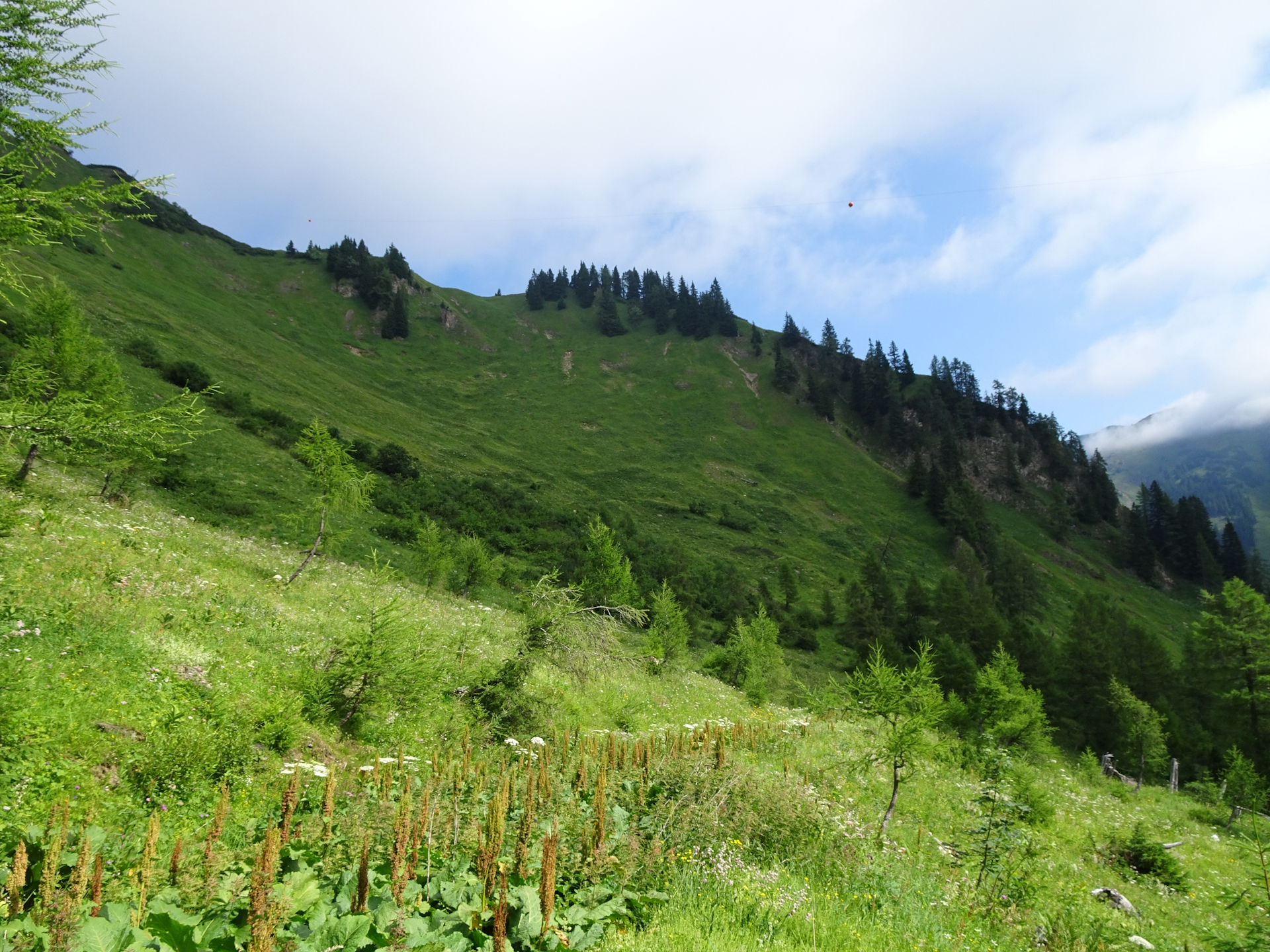 On the trail towards <i>Reichenstein</i>