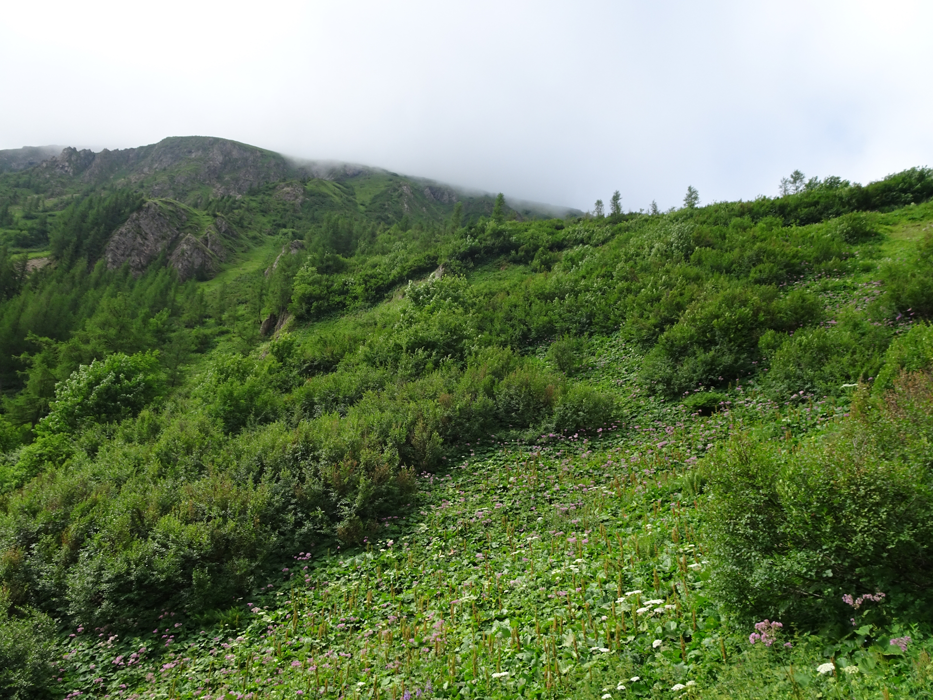 On the trail towards <i>Reichenstein</i>