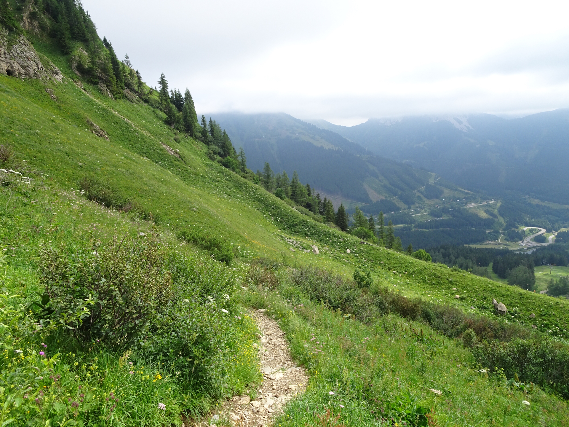 View back from the trail up to <i>Reichenstein</i>