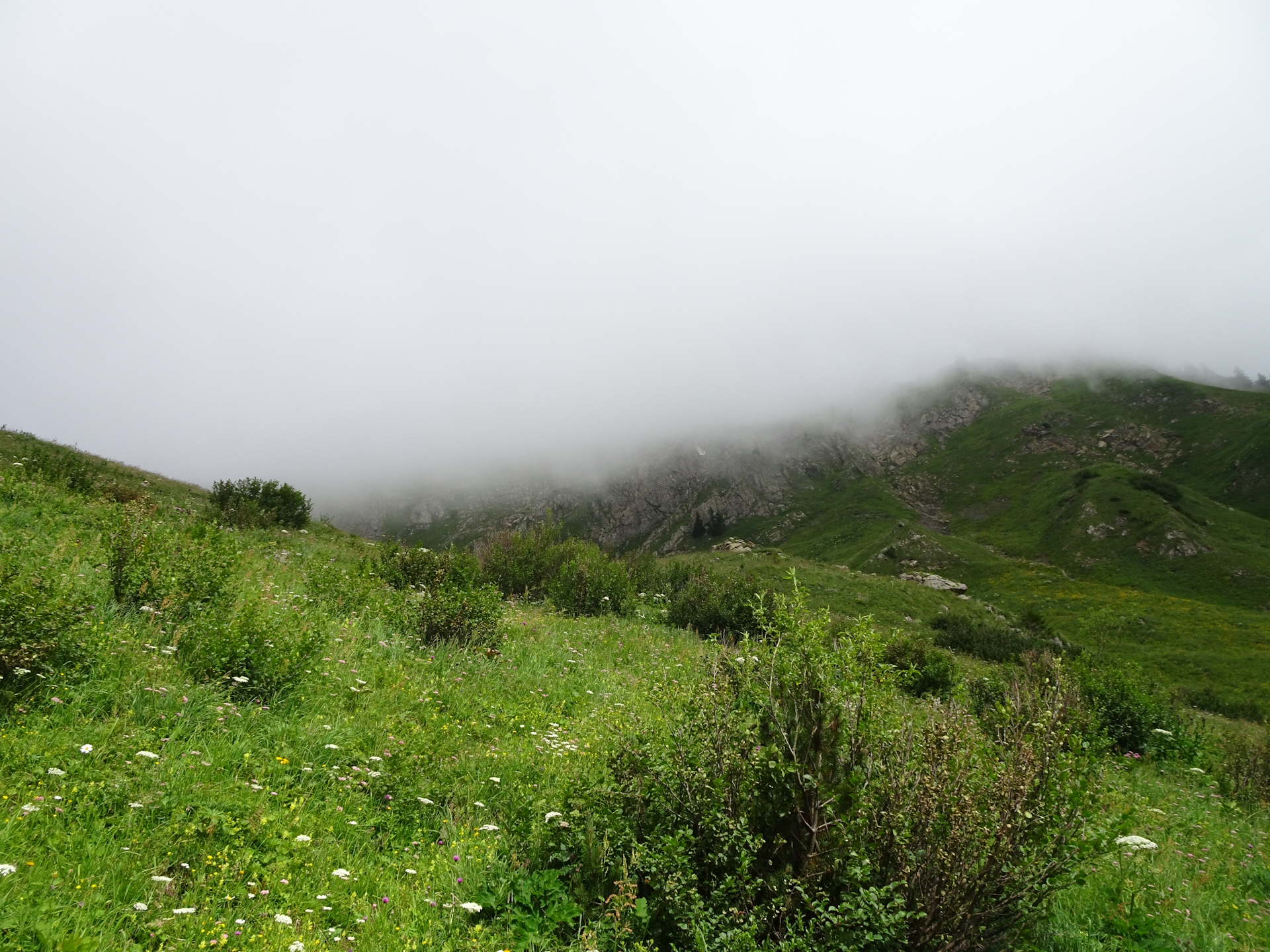 Fog is covering the summit of <i>Reichenstein</i>