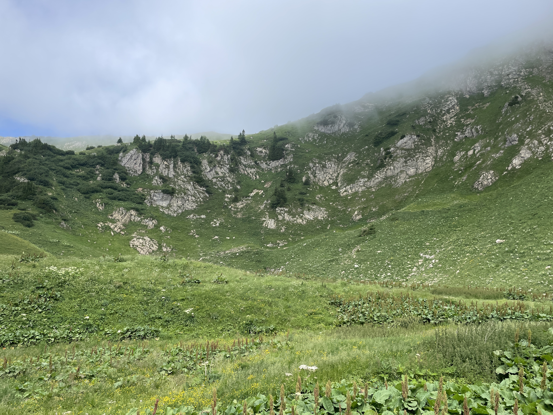 On the trail towards the saddle between <i>Reichenstein</i> and <i>Rössel</i>