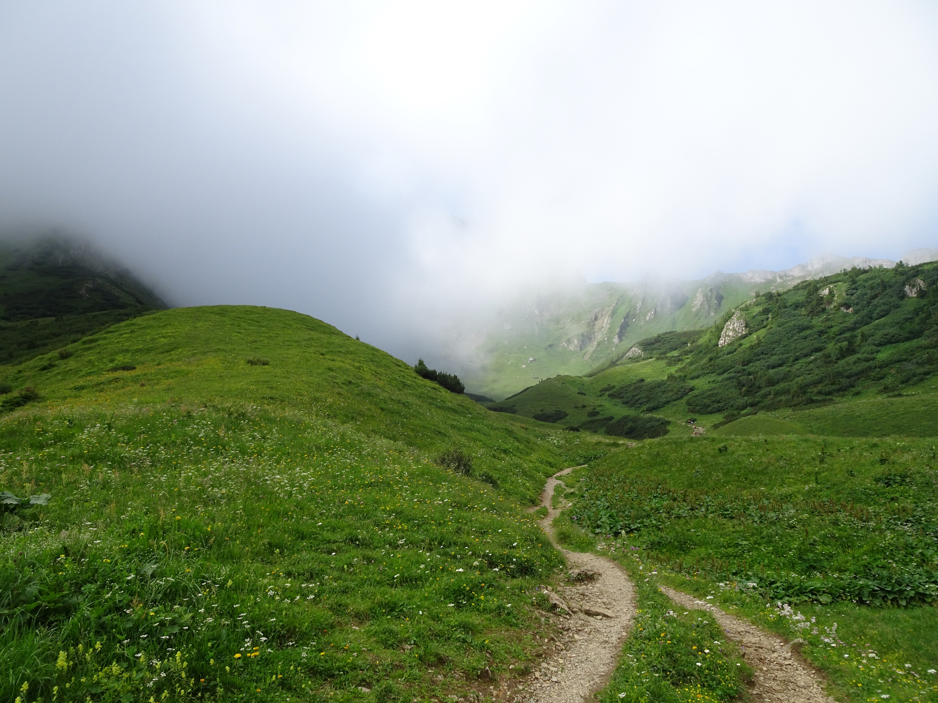 Towards the ridge up to <i>Reichenstein</i>
