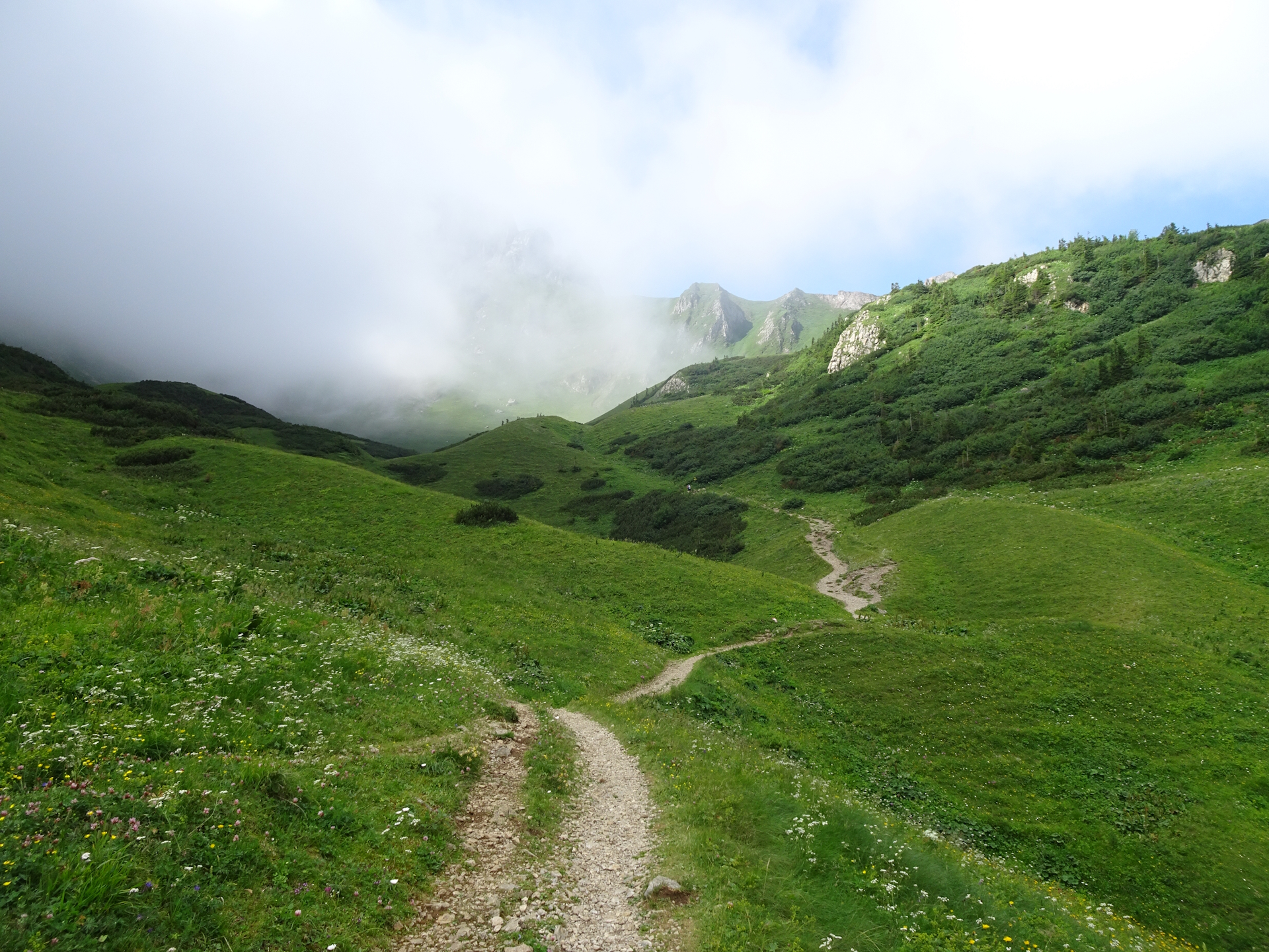Beautiful trail ahead towards <i>Reichenstein</i>
