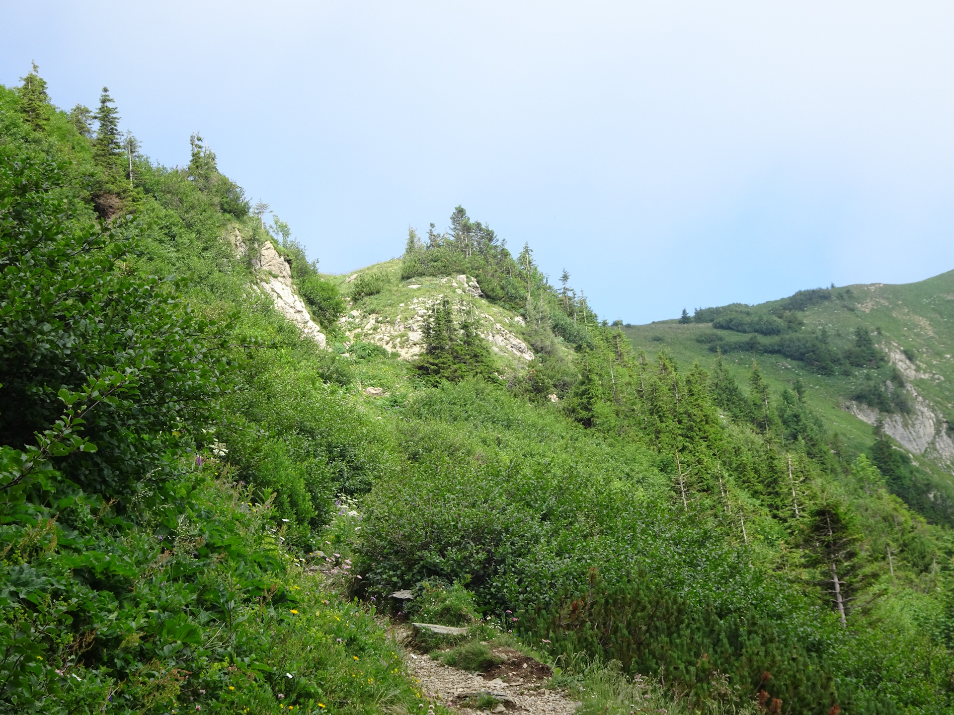 On the trail towards the saddle between <i>Reichenstein</i> and <i>Rössel</i>