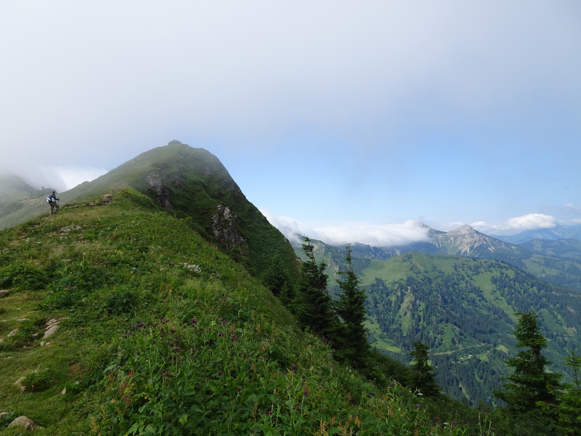 On the trail towards <i>Reichenstein</i>