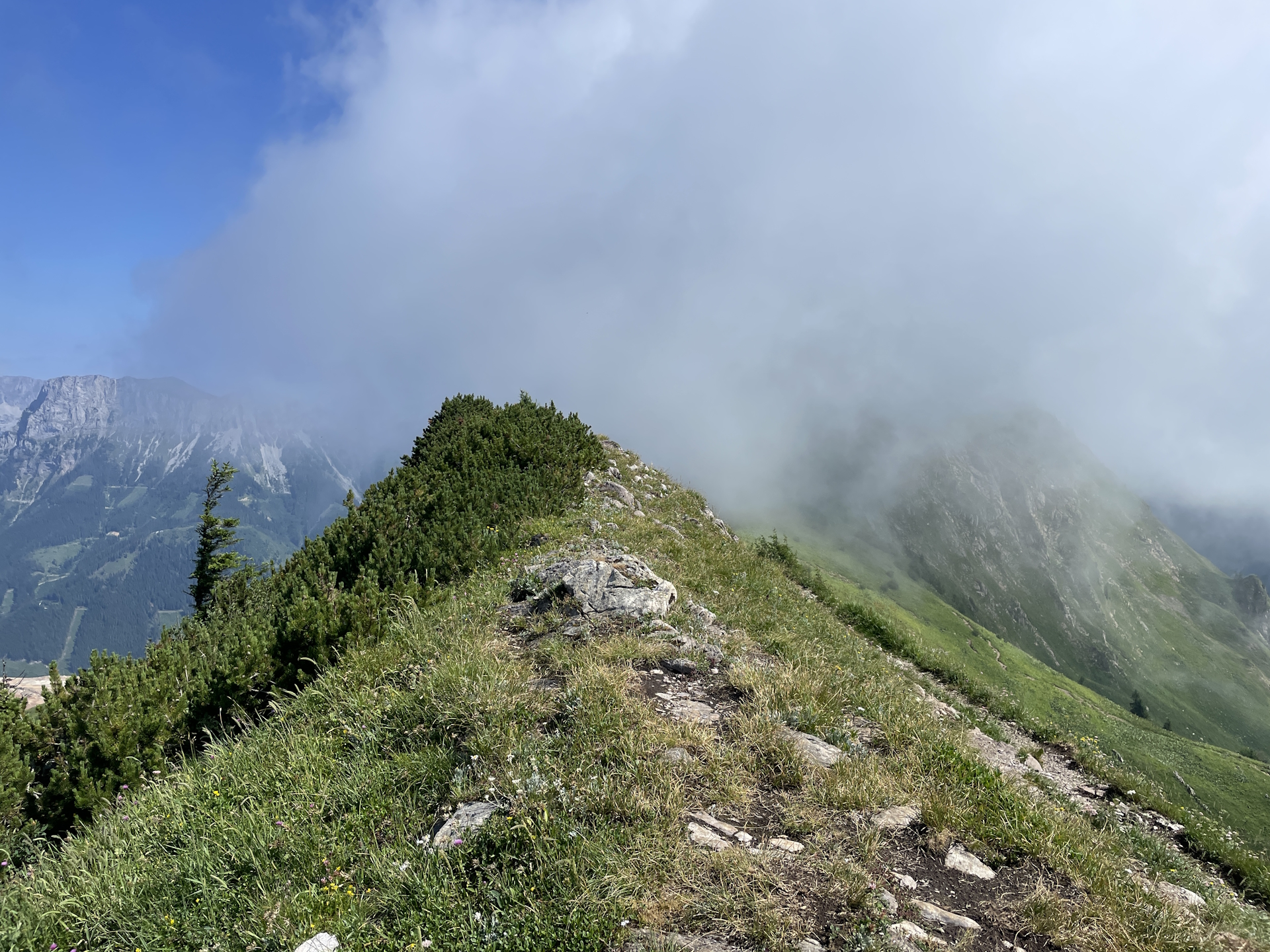 View back from the trail