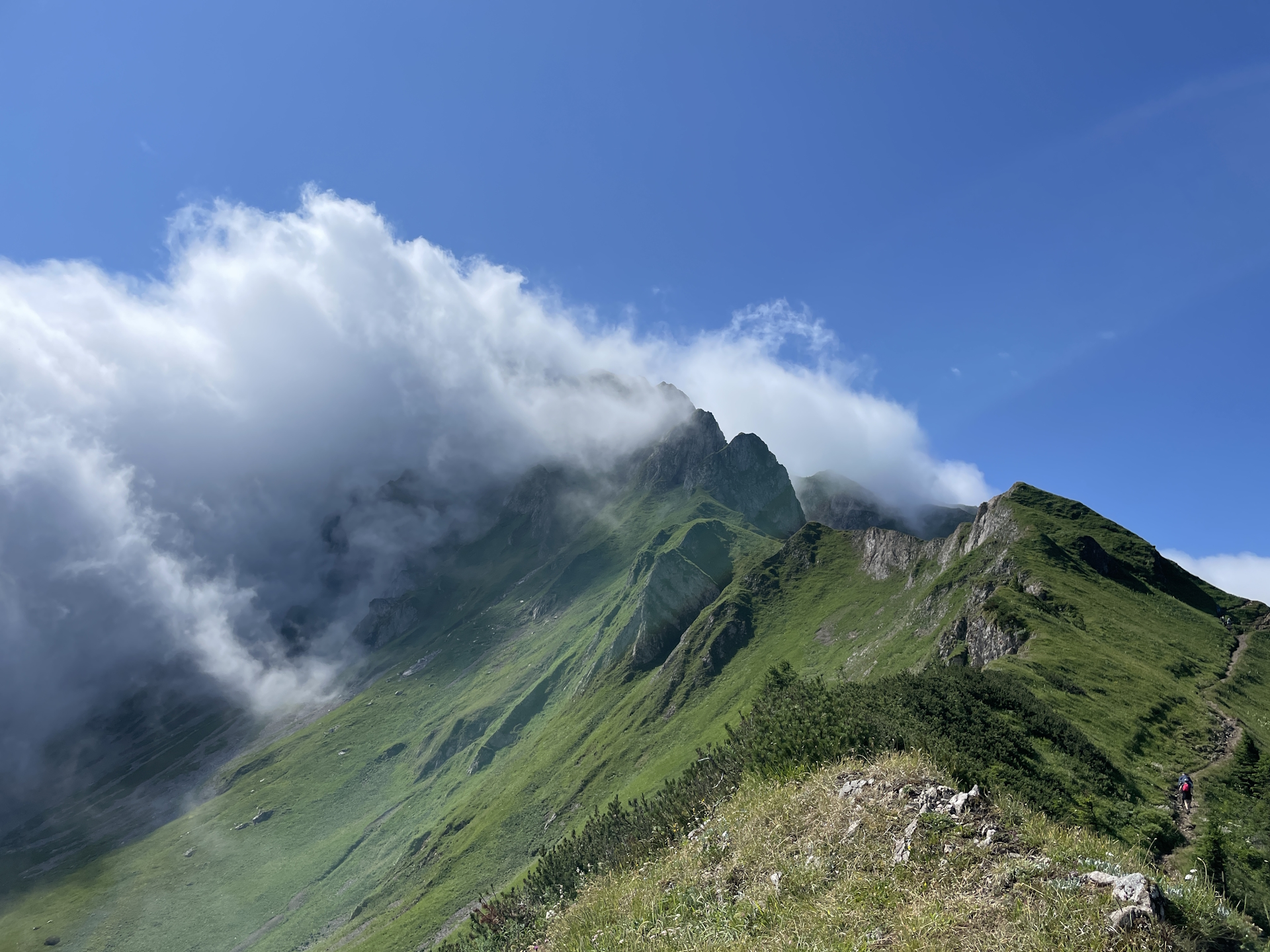 On the scenic trail up to <i>Reichenstein</i>