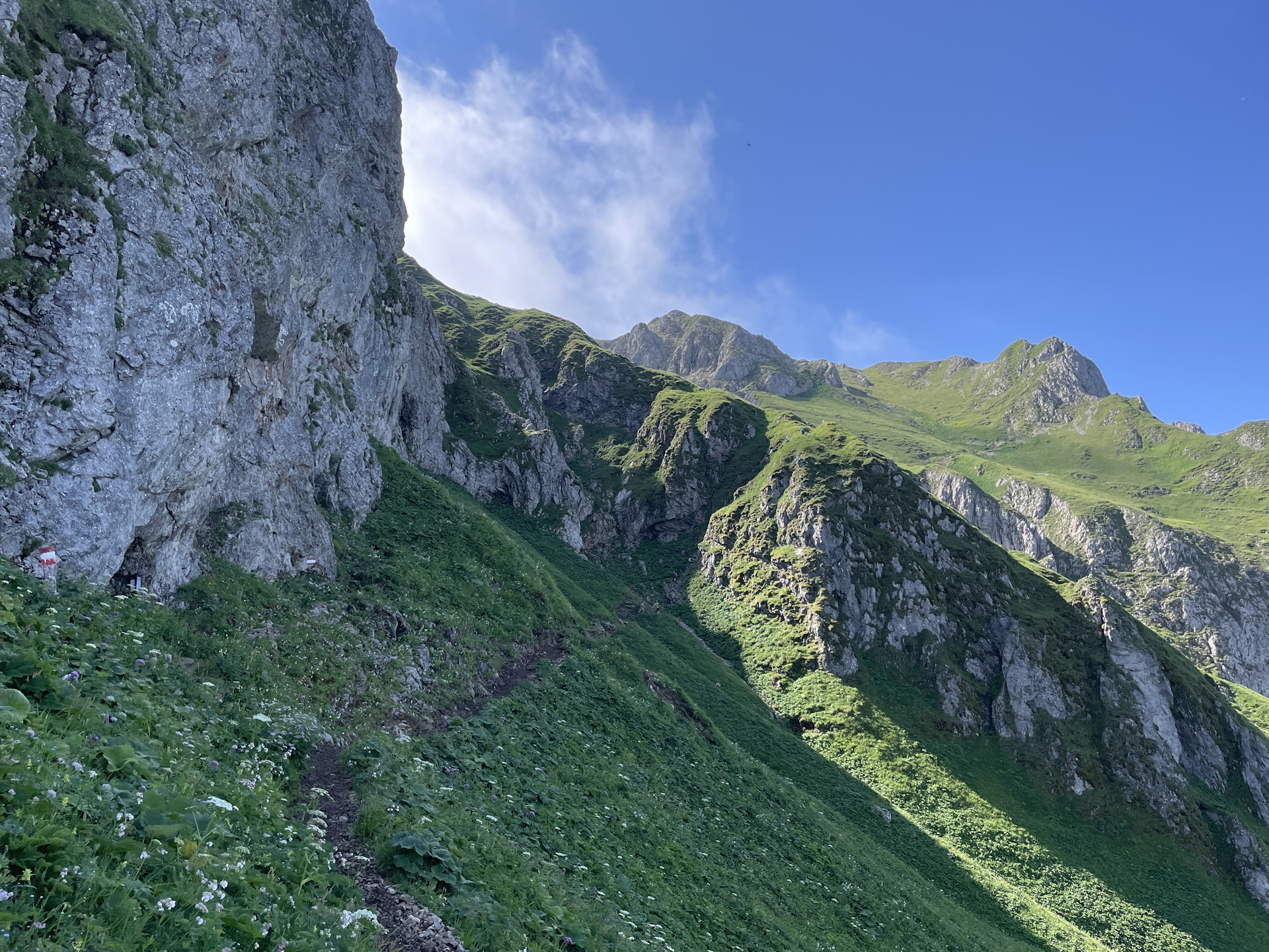 On the alpine variant up to <i>Reichensteinhütte</i>