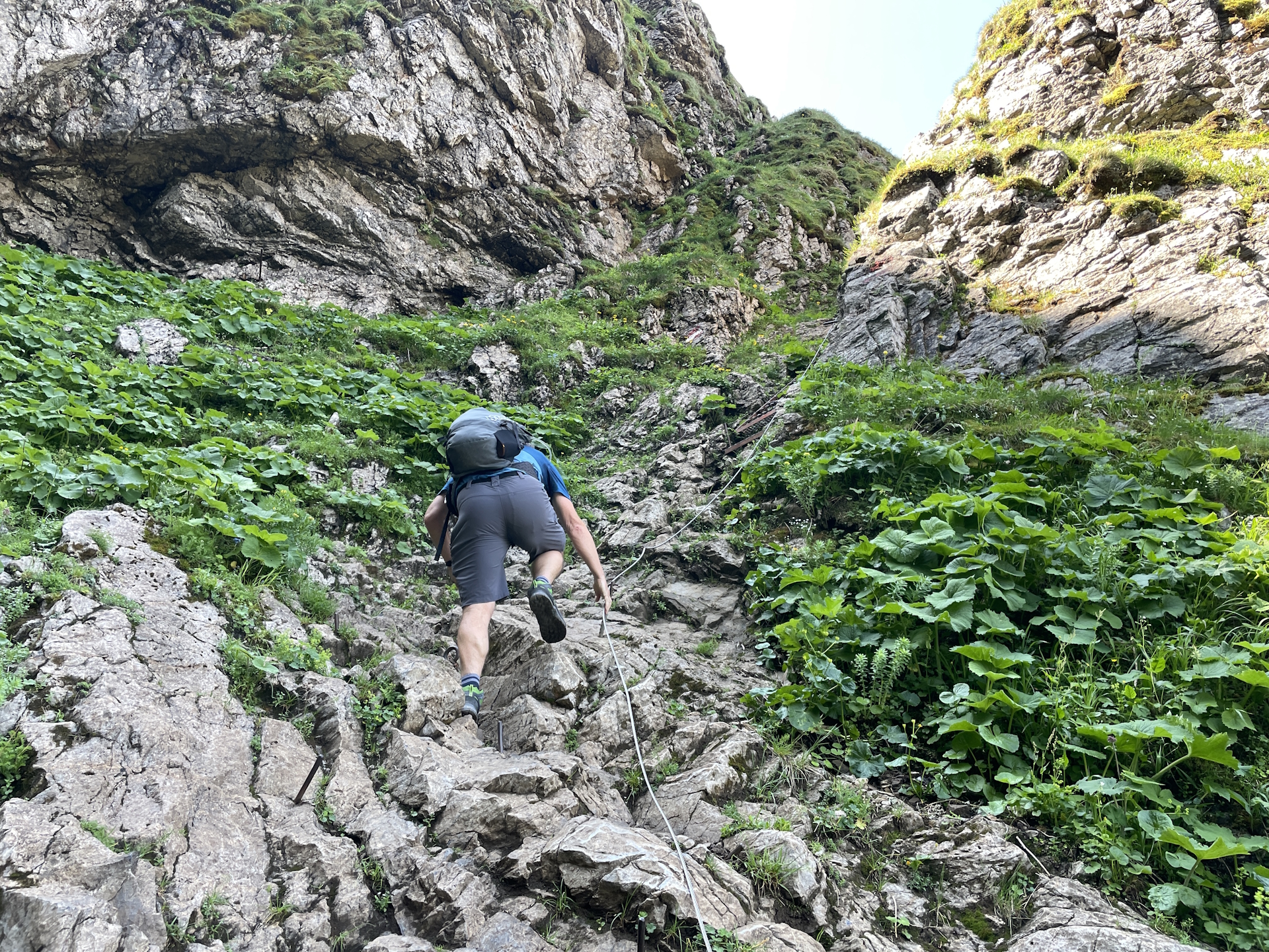 Robert climbs up towards the ladder