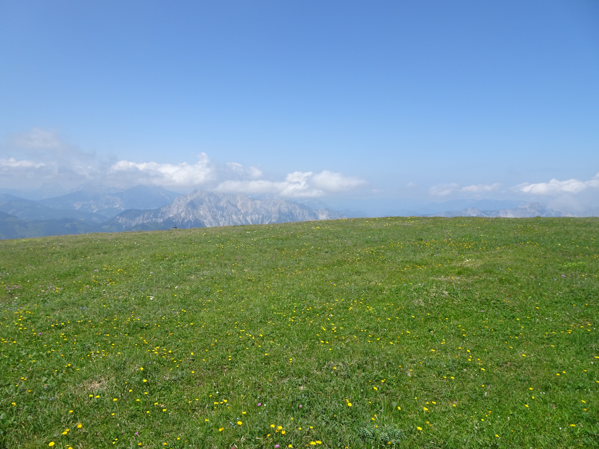 On the plateau of <i>Reichenstein</i>